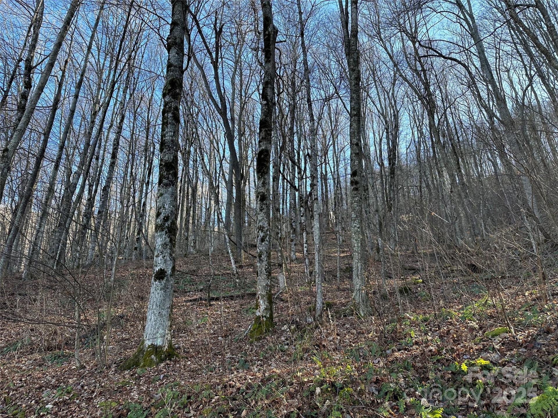 0000 St Andrews Road #17 - Photo 4