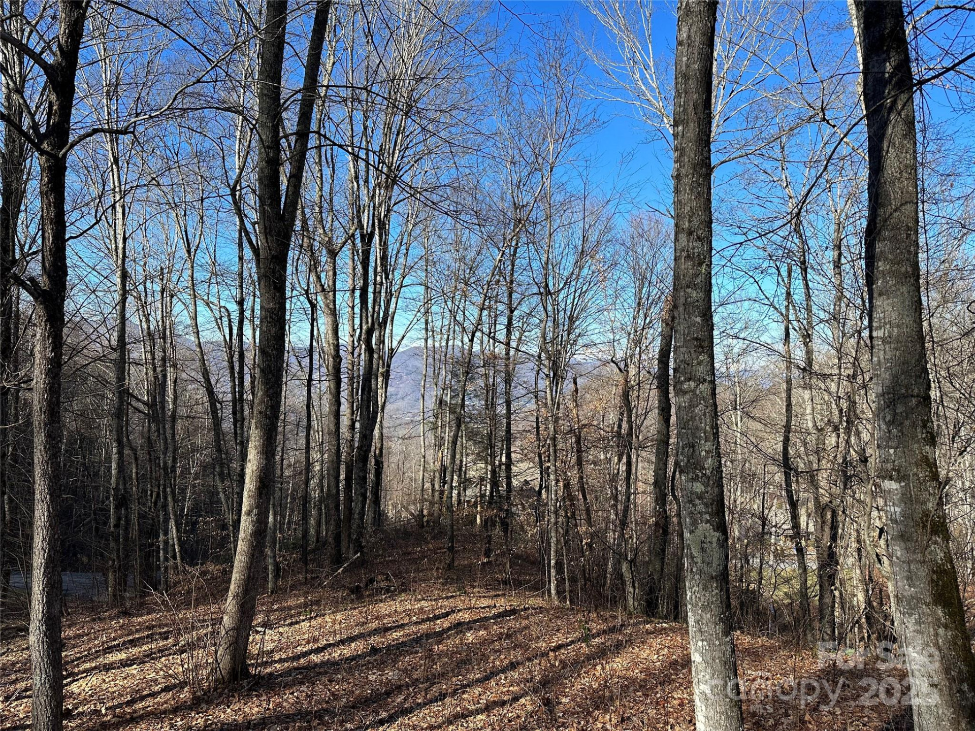 0000 St Andrews Road #17 - Photo 5