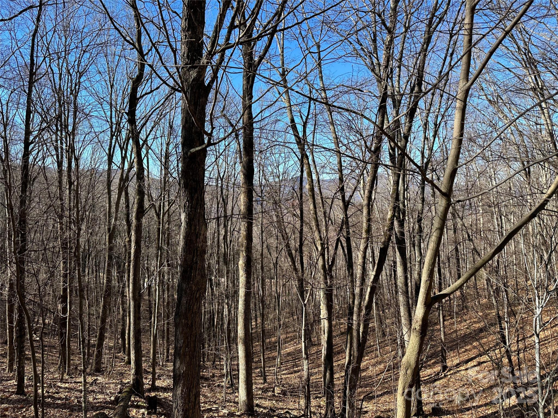 0000 St Andrews Road #17 - Photo 6