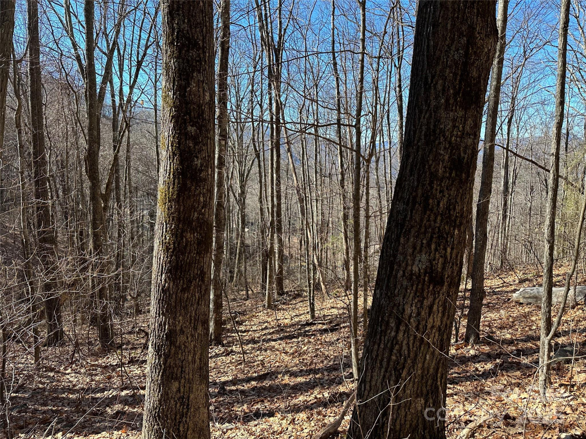 0000 St Andrews Road #17 - Photo 7