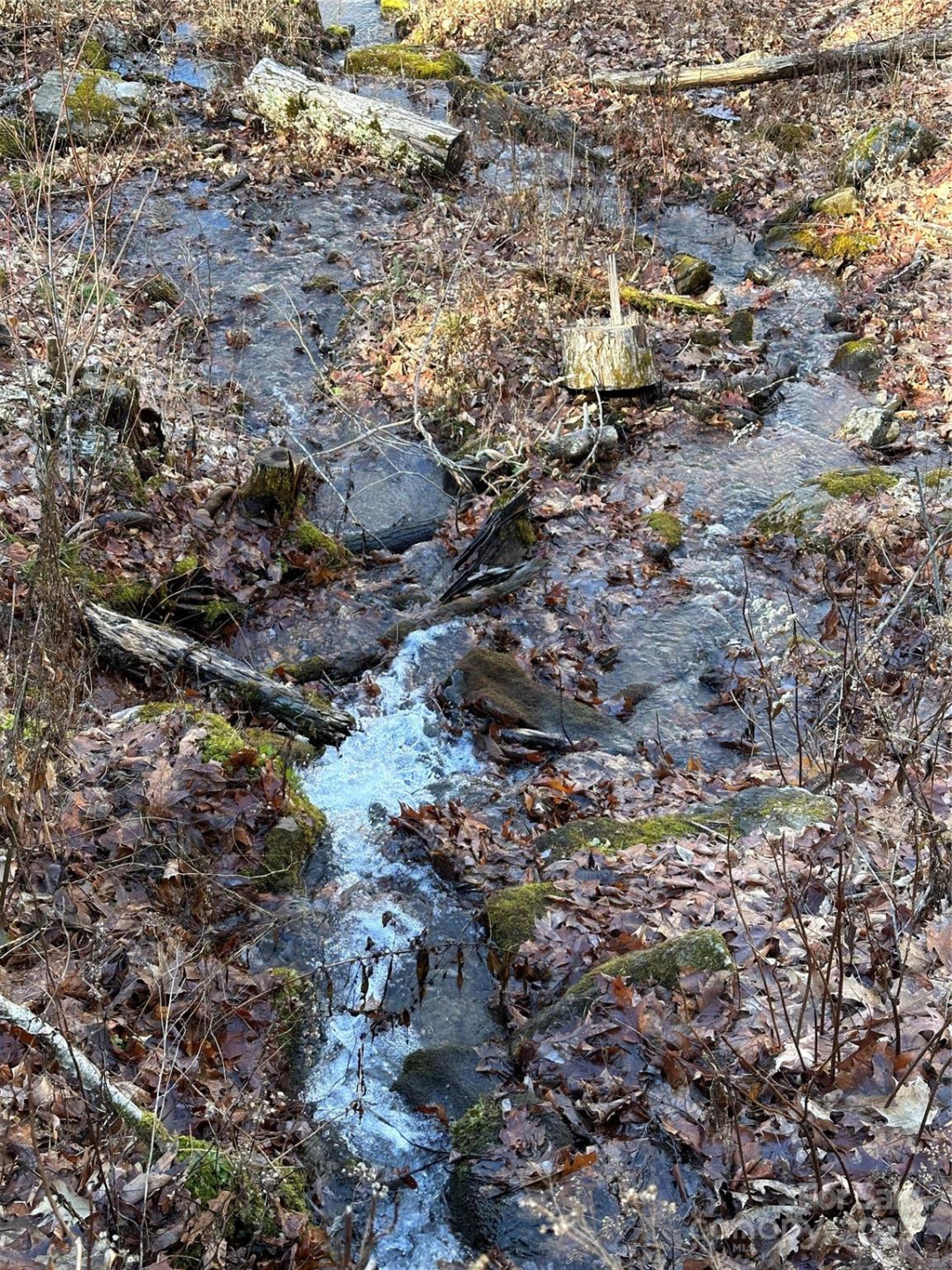 0000 St Andrews Road #17 - Photo 10