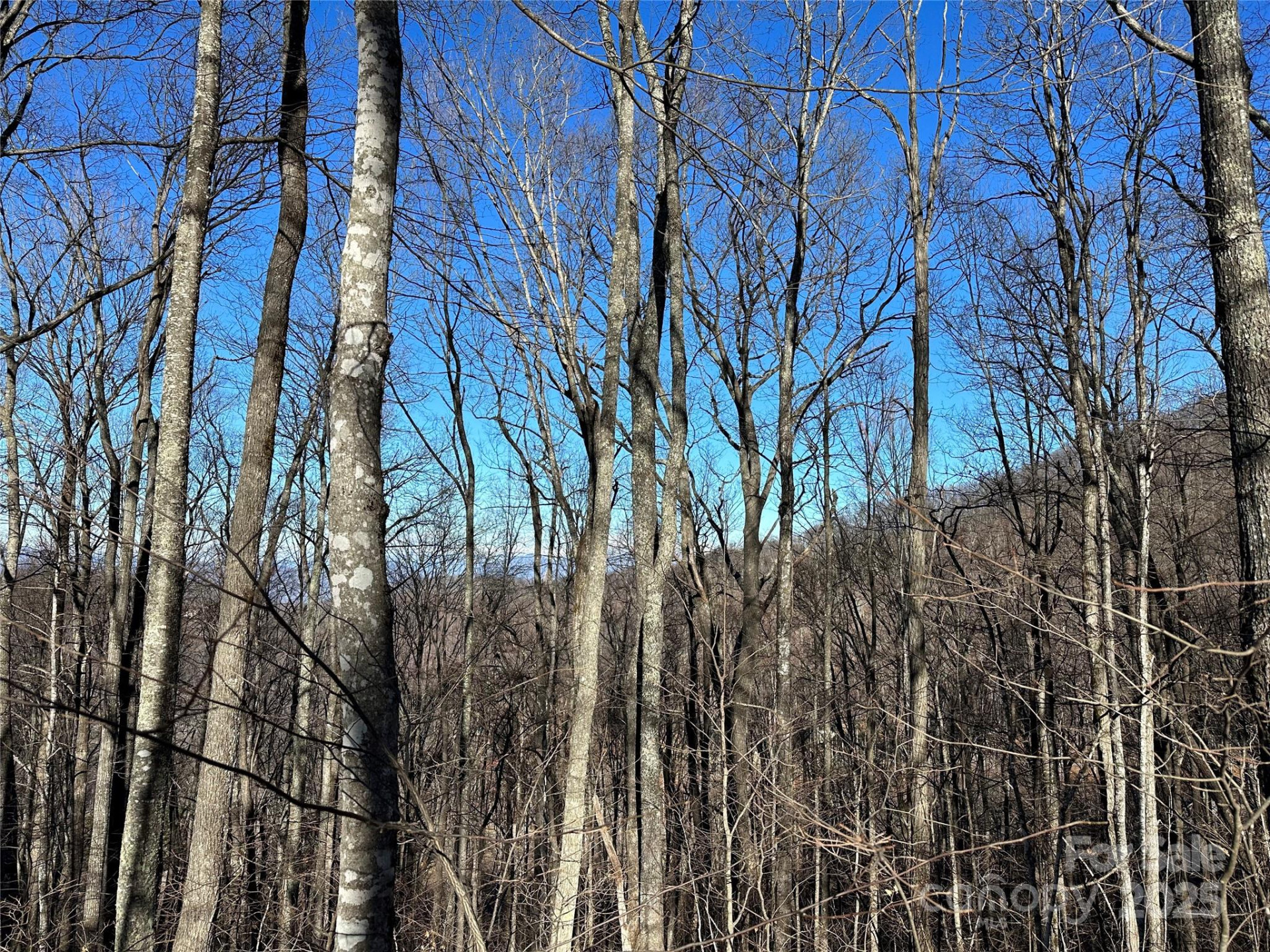 000 Macallan Drive #14