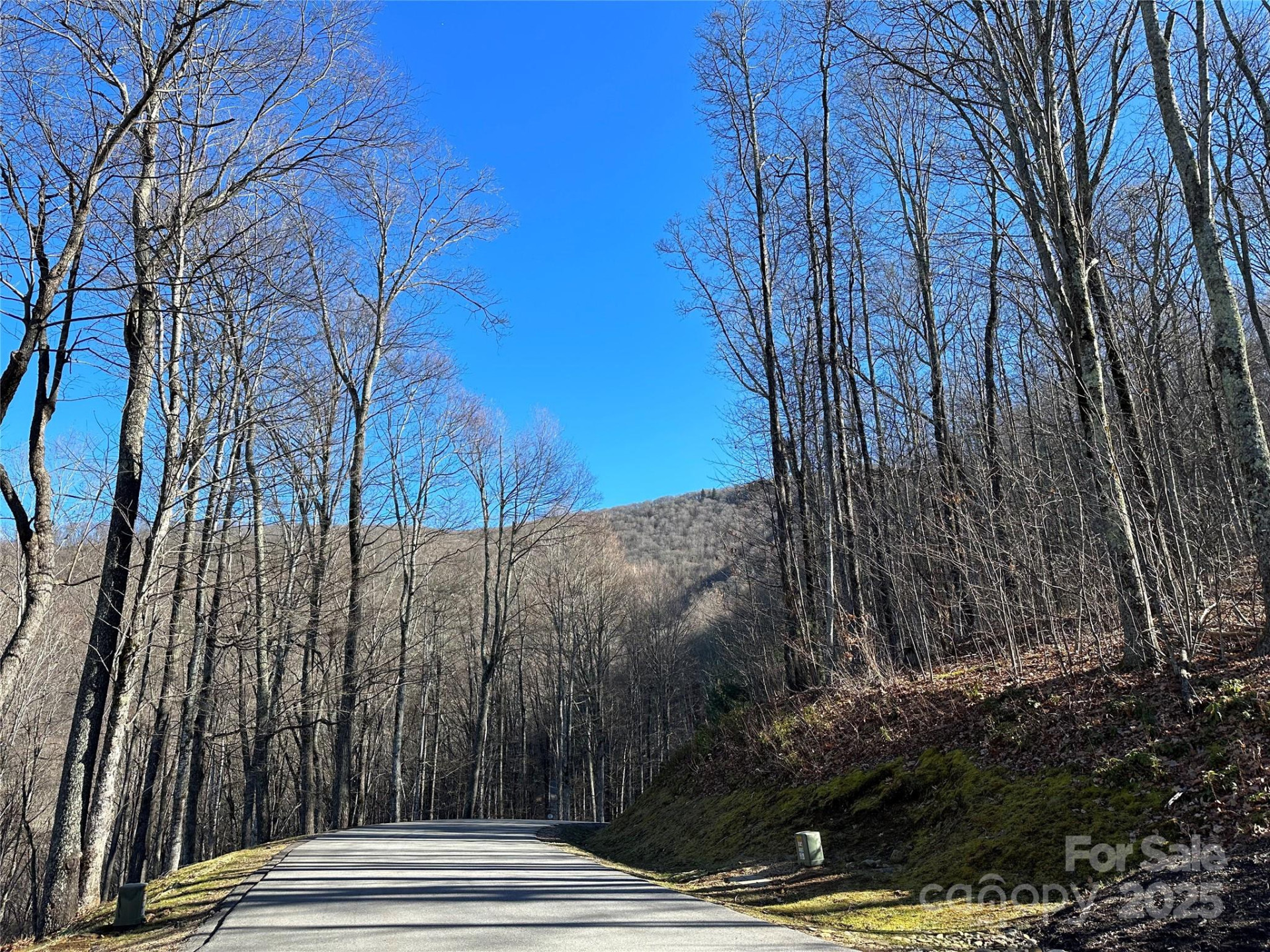 000 Macallan Drive #14 - Photo 2