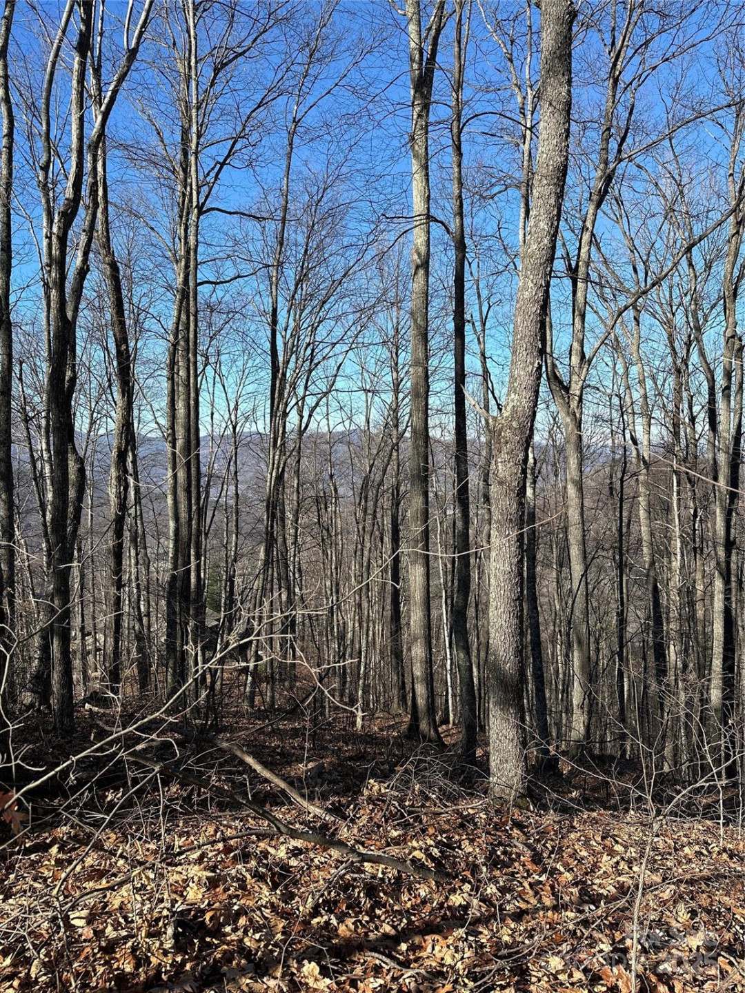 000 Macallan Drive #14 - Photo 3