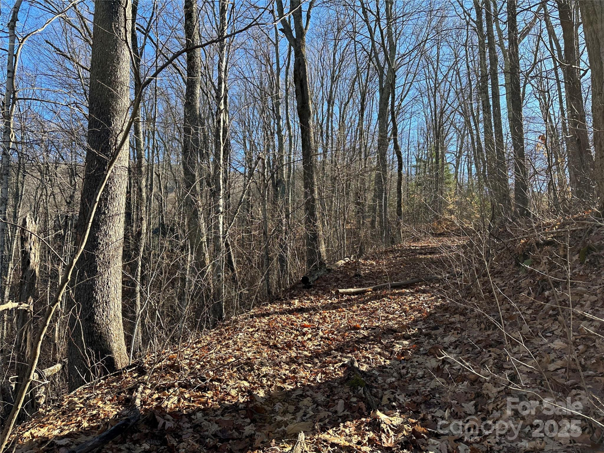 000 Macallan Drive #14 - Photo 4