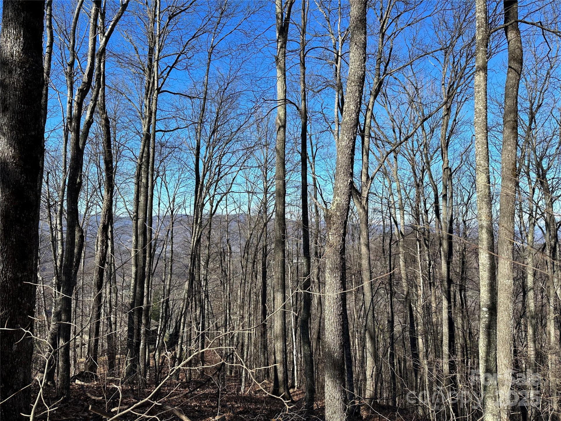 000 Macallan Drive #14 - Photo 5