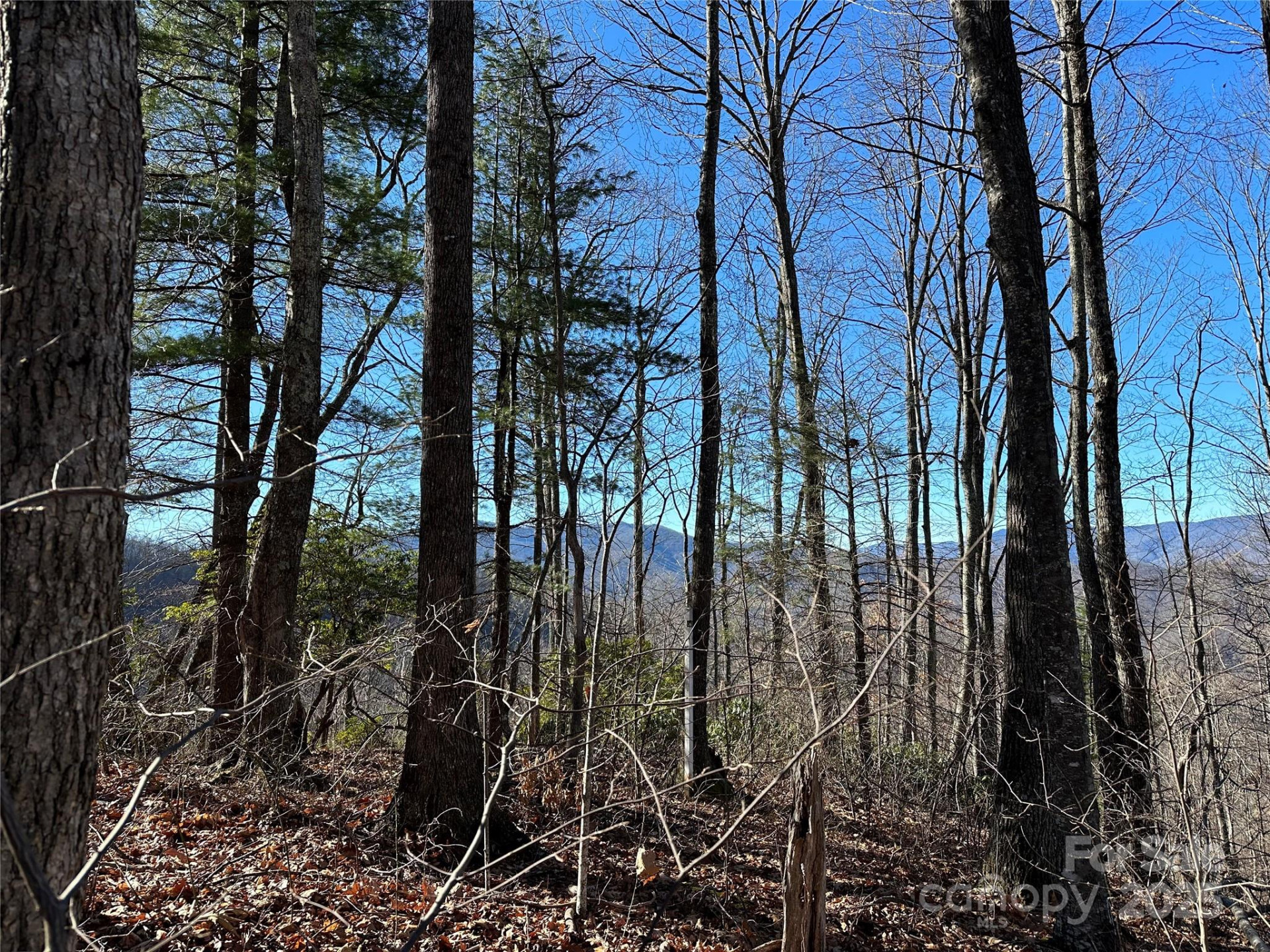 000 Macallan Drive #14 - Photo 6