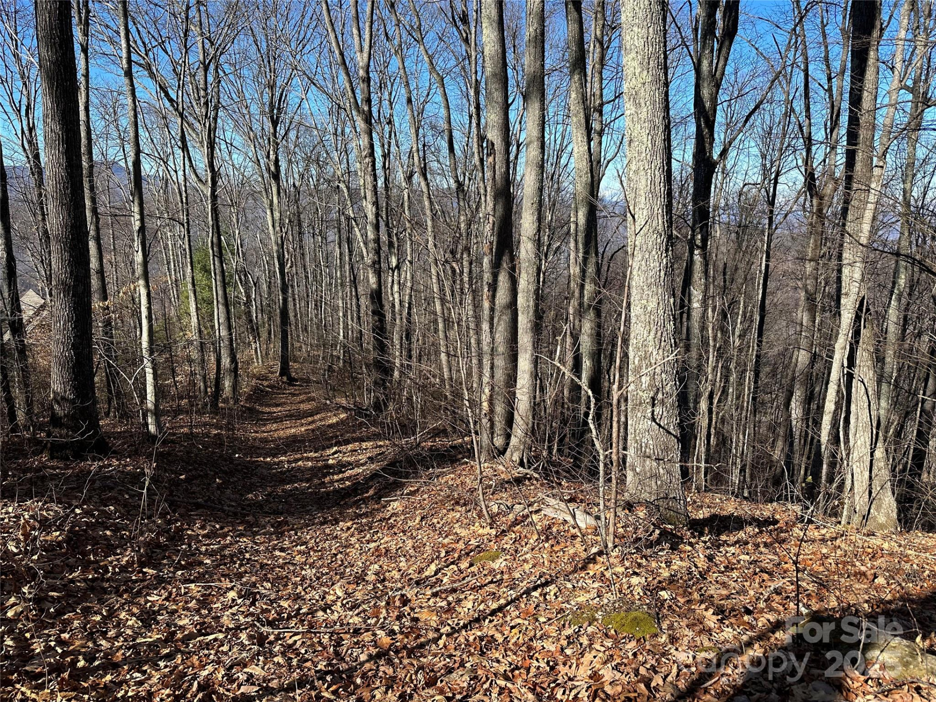 000 Macallan Drive #14 - Photo 7