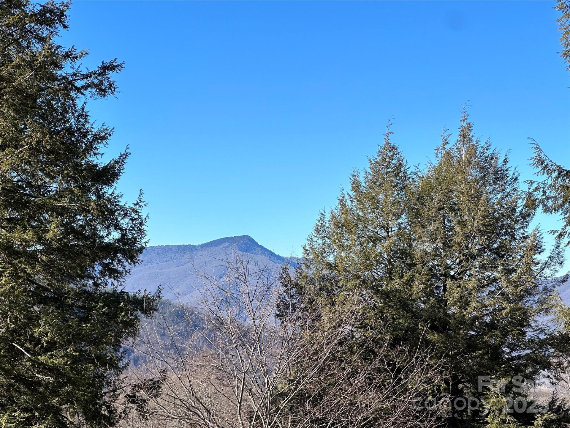 000 Macallan Drive #14 - Photo 8