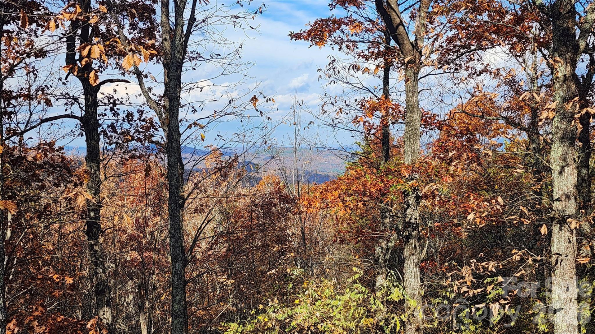 3190 Holly Road - Photo 23