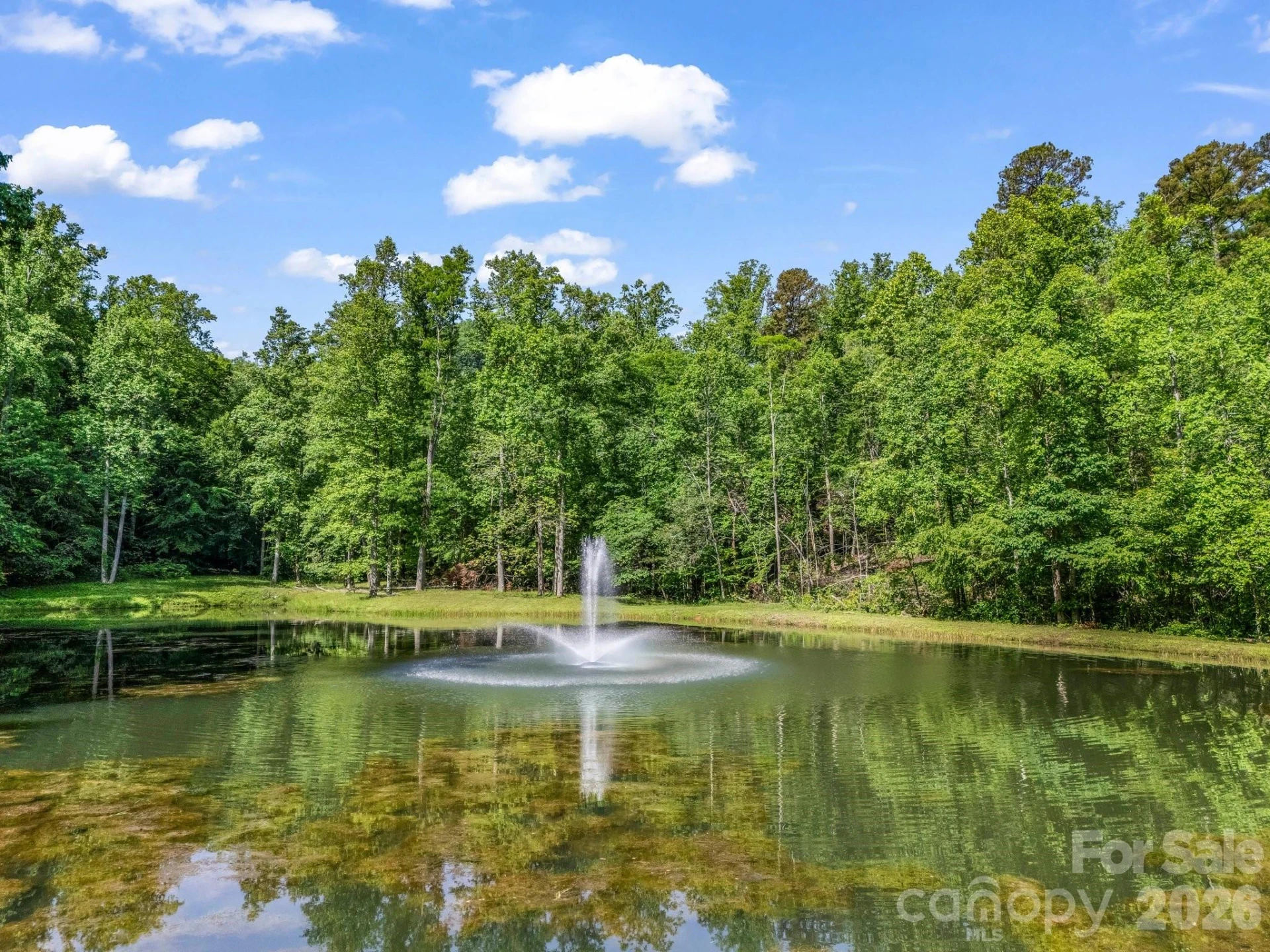 980 Mountain Forest Drive