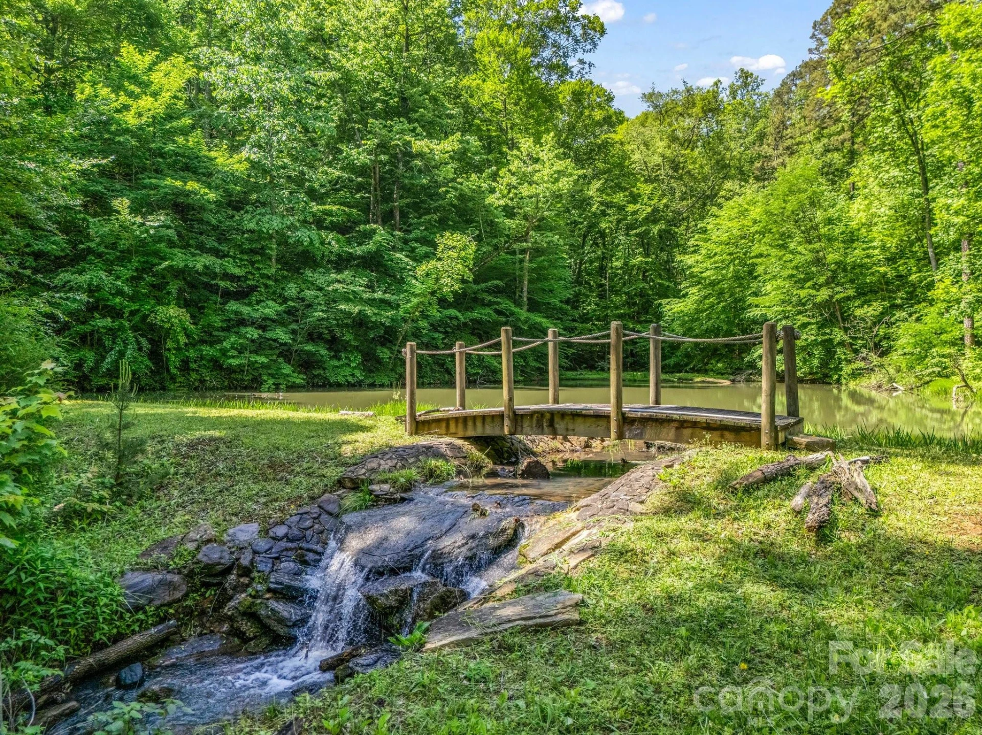 980 Mountain Forest Drive - Photo 7