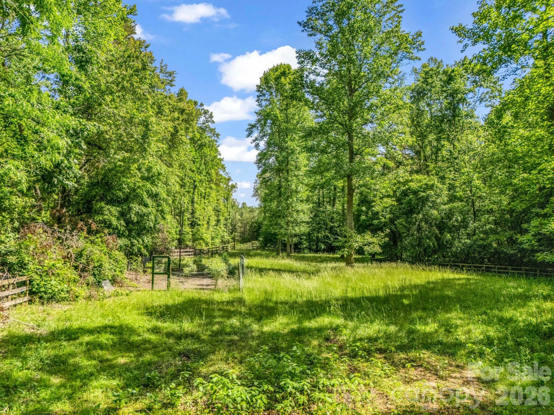 980 Mountain Forest Drive - Photo 61