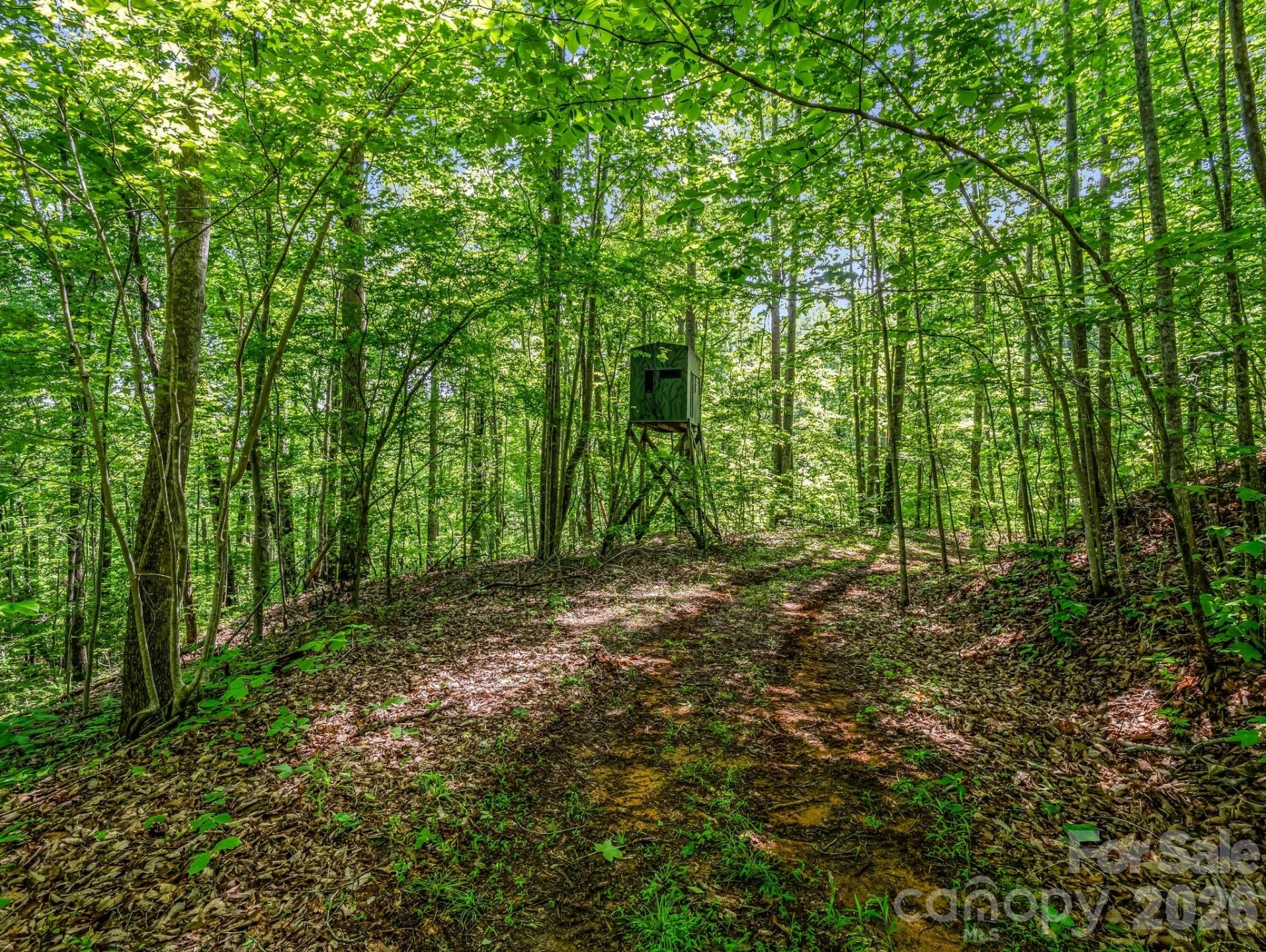 980 Mountain Forest Drive - Photo 67