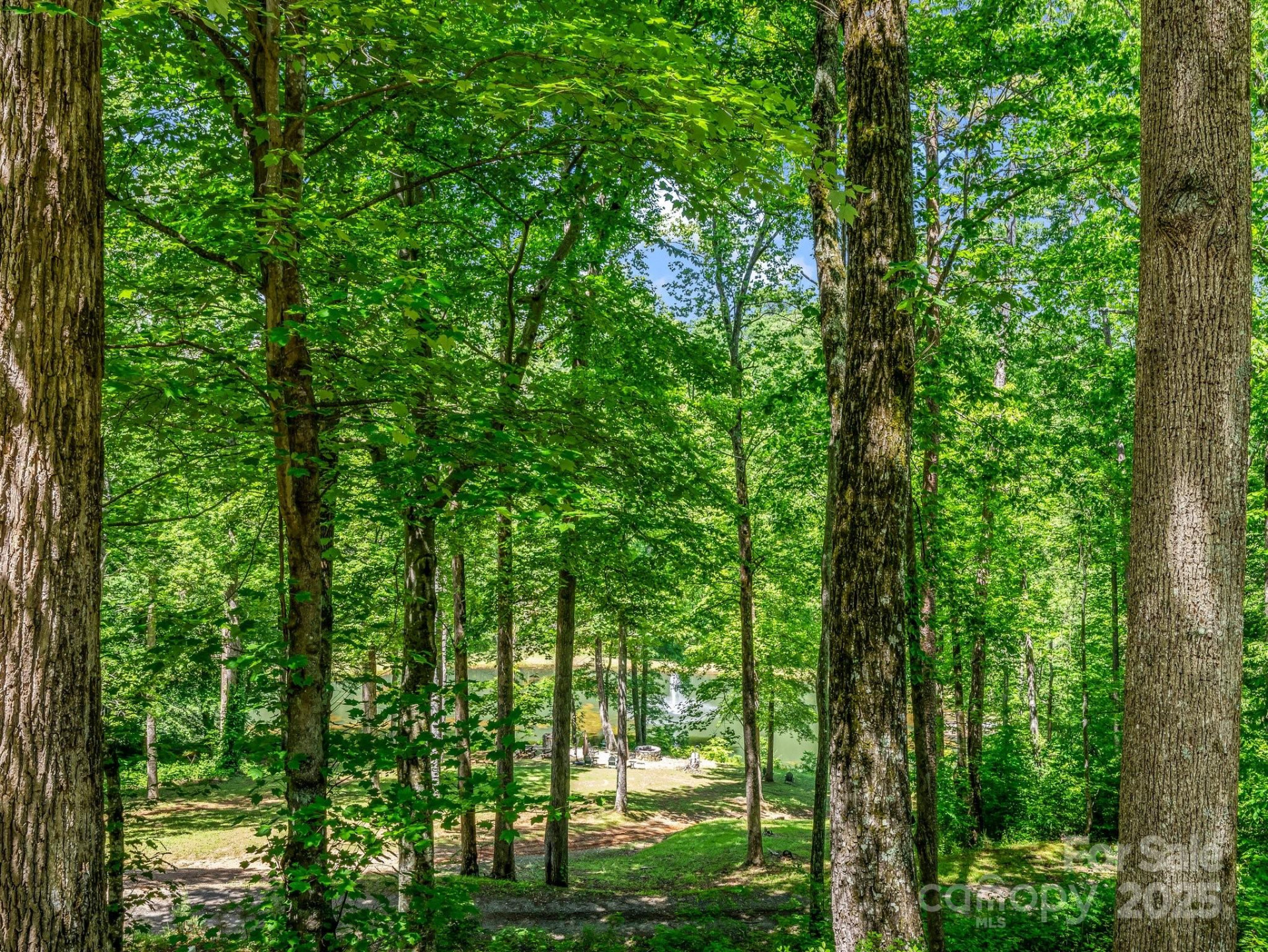 980 Mountain Forest Drive - Photo 36