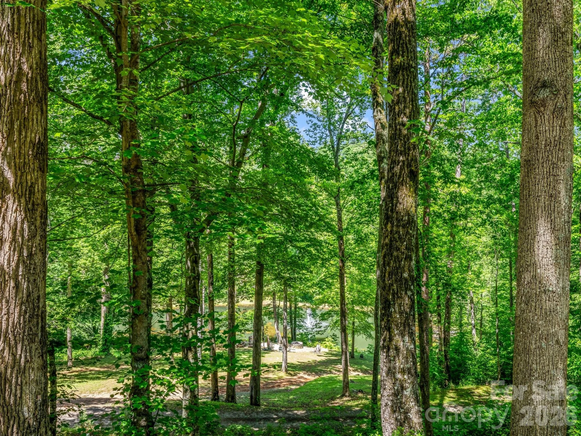 980 Mountain Forest Drive - Photo 71