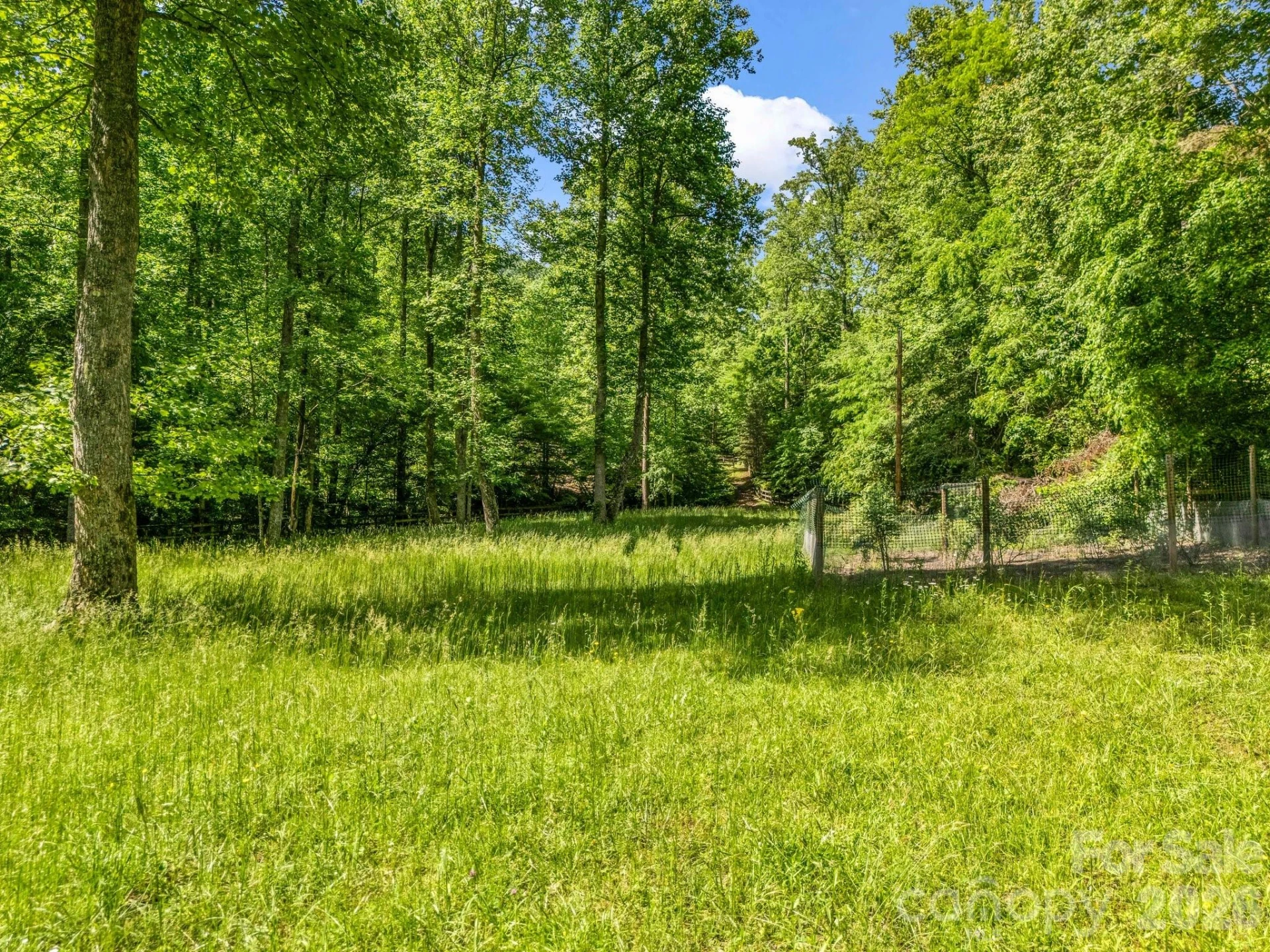 980 Mountain Forest Drive - Photo 75