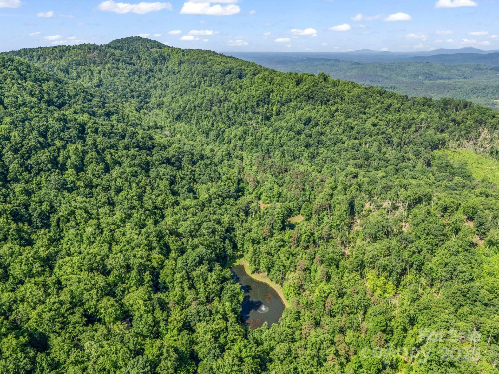 980 Mountain Forest Drive - Photo 39