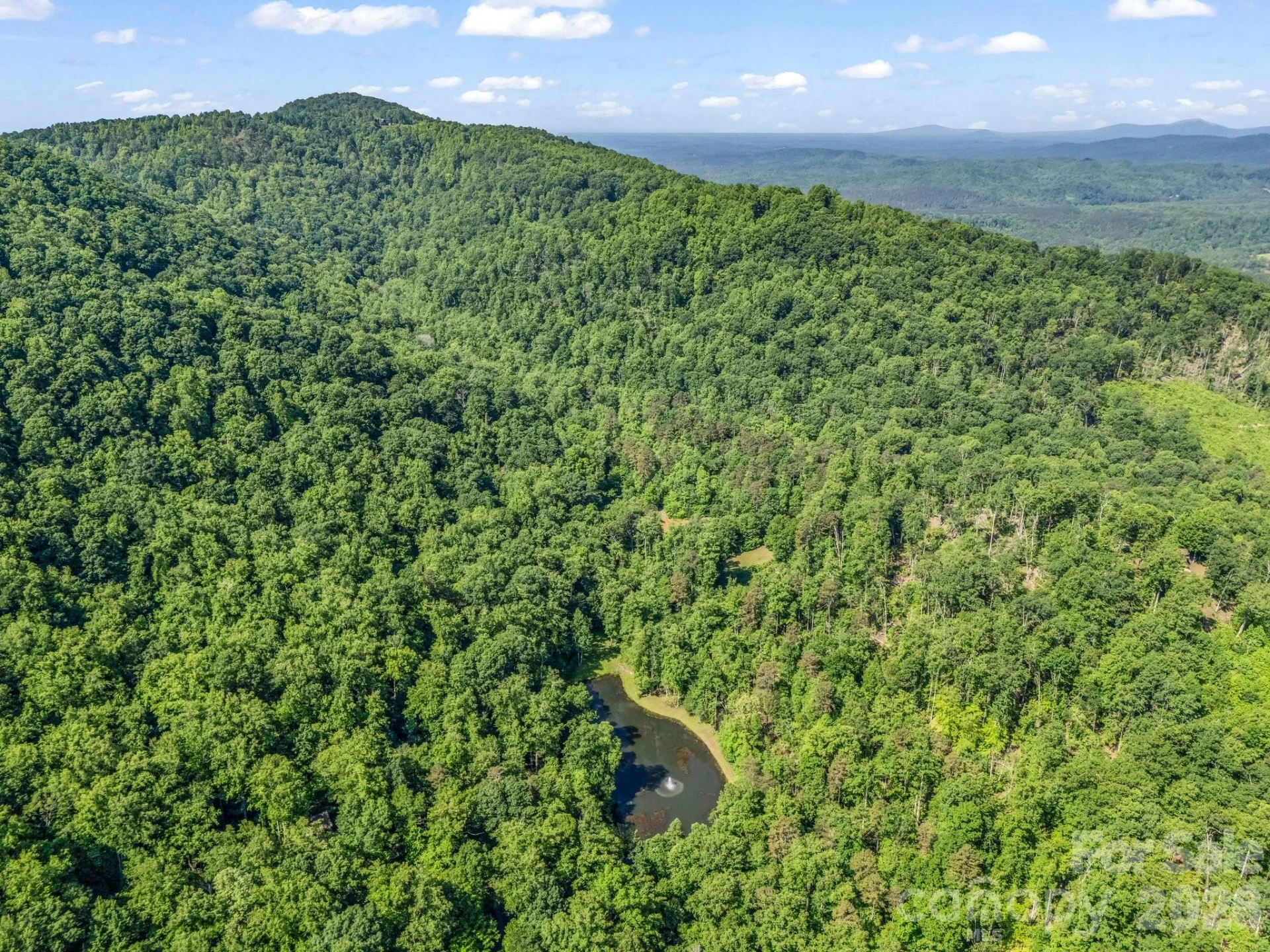 980 Mountain Forest Drive - Photo 77
