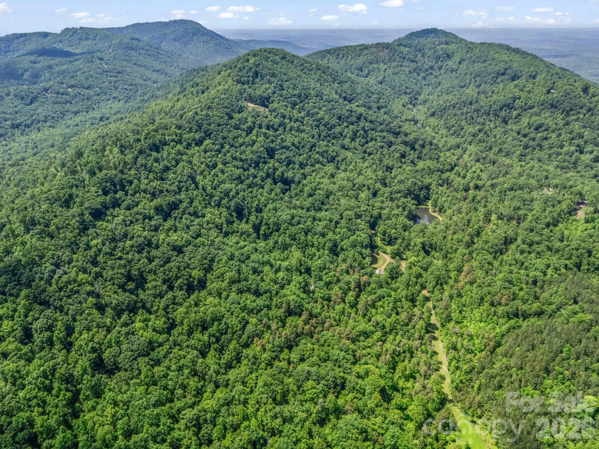 980 Mountain Forest Drive - Photo 79