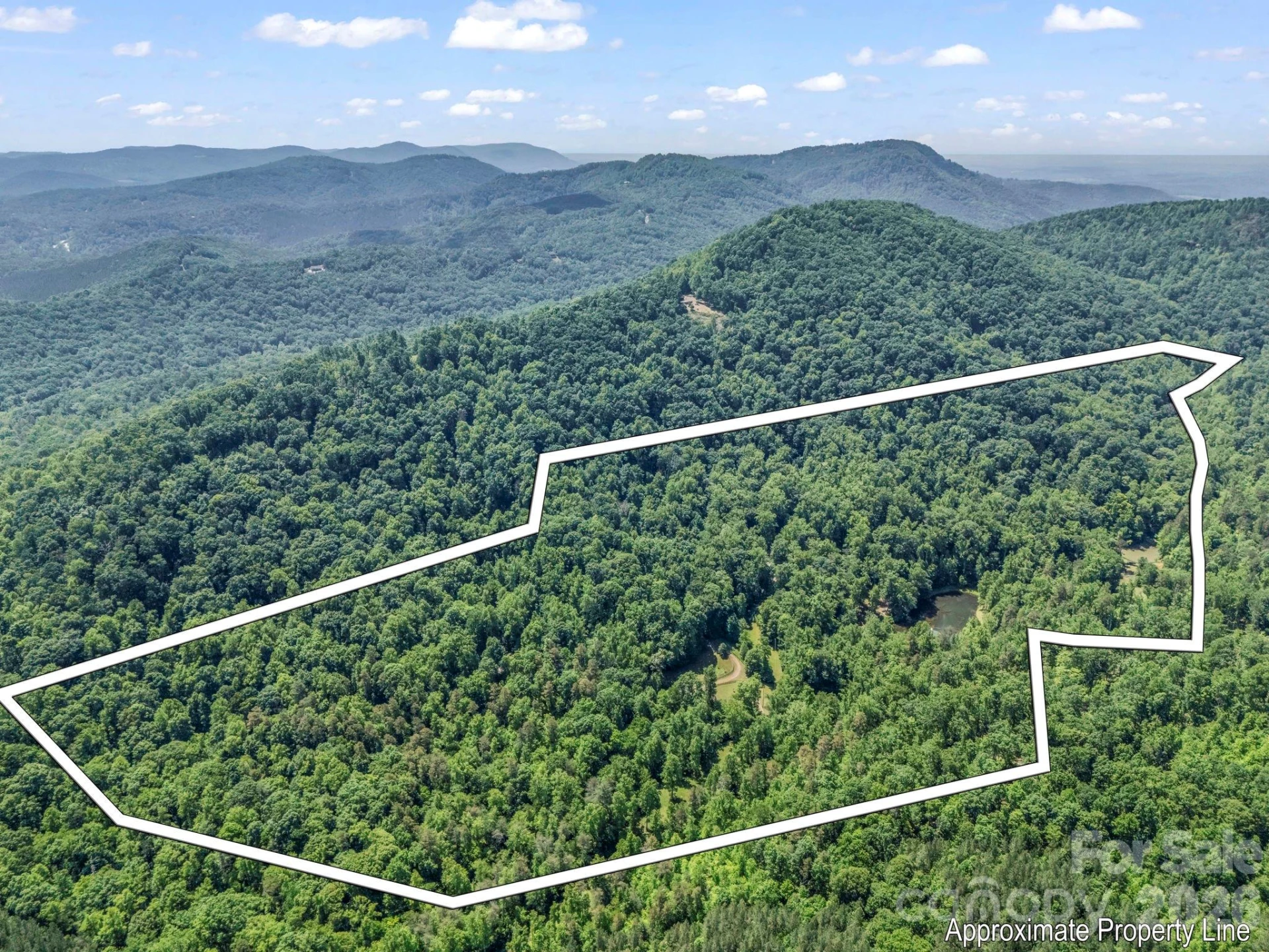 980 Mountain Forest Drive - Photo 91