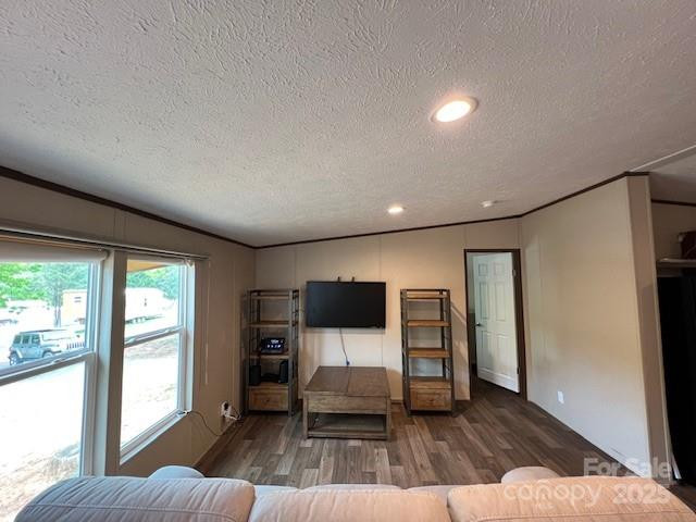 3903 Dysartsville Road - Photo 14