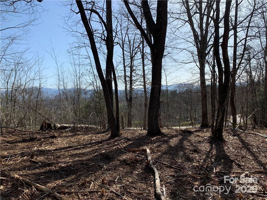 228 Spivey Mountain Road #5 - Photo 11
