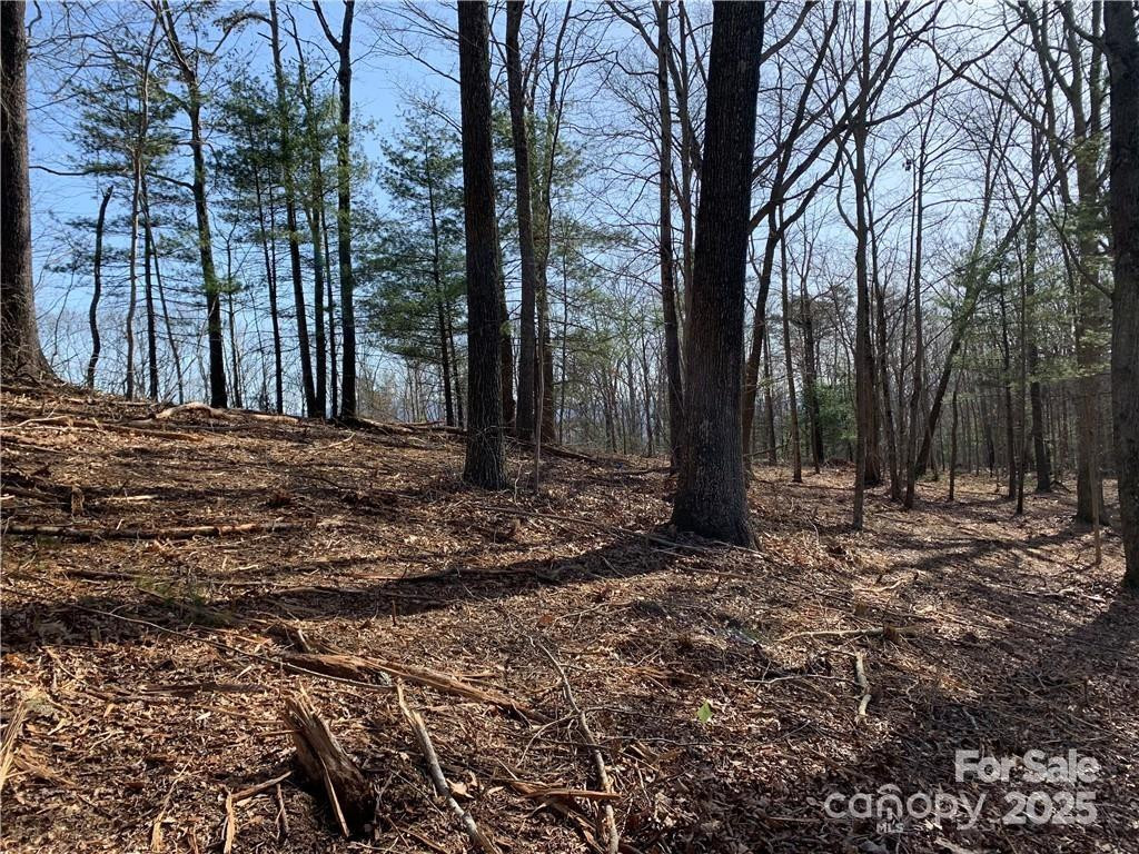 228 Spivey Mountain Road #5 - Photo 12