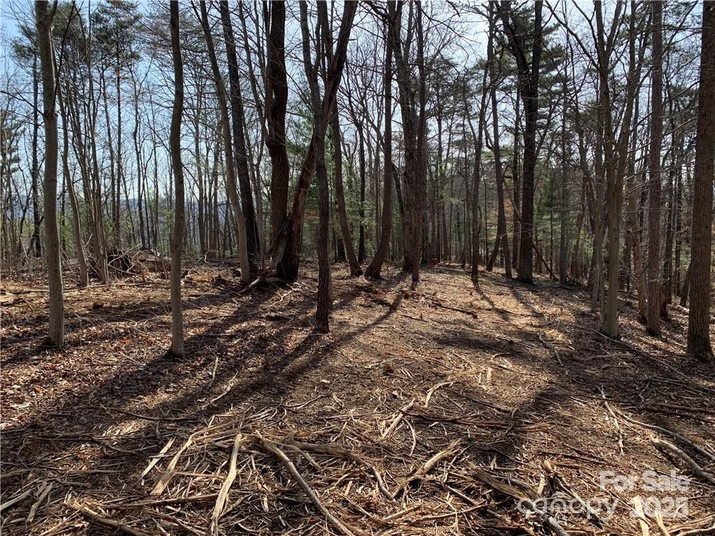 228 Spivey Mountain Road #5 - Photo 13