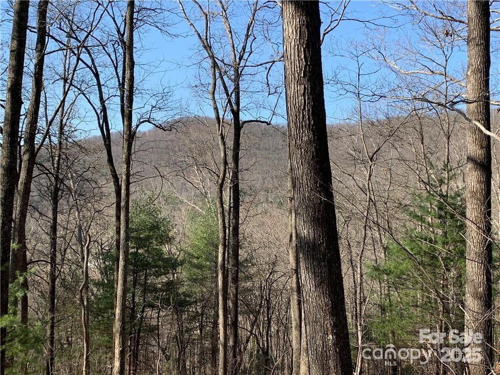 228 Spivey Mountain Road #5 - Photo 14