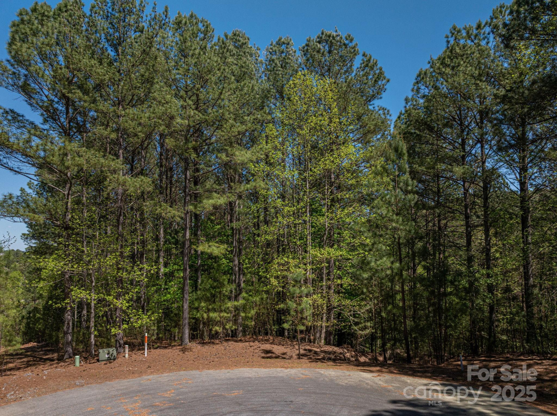 1236 Boardwalk Drive - Photo 11