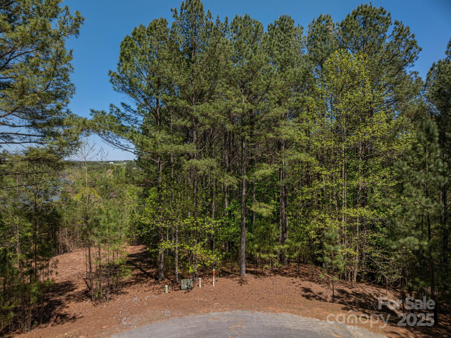 1236 Boardwalk Drive - Photo 12