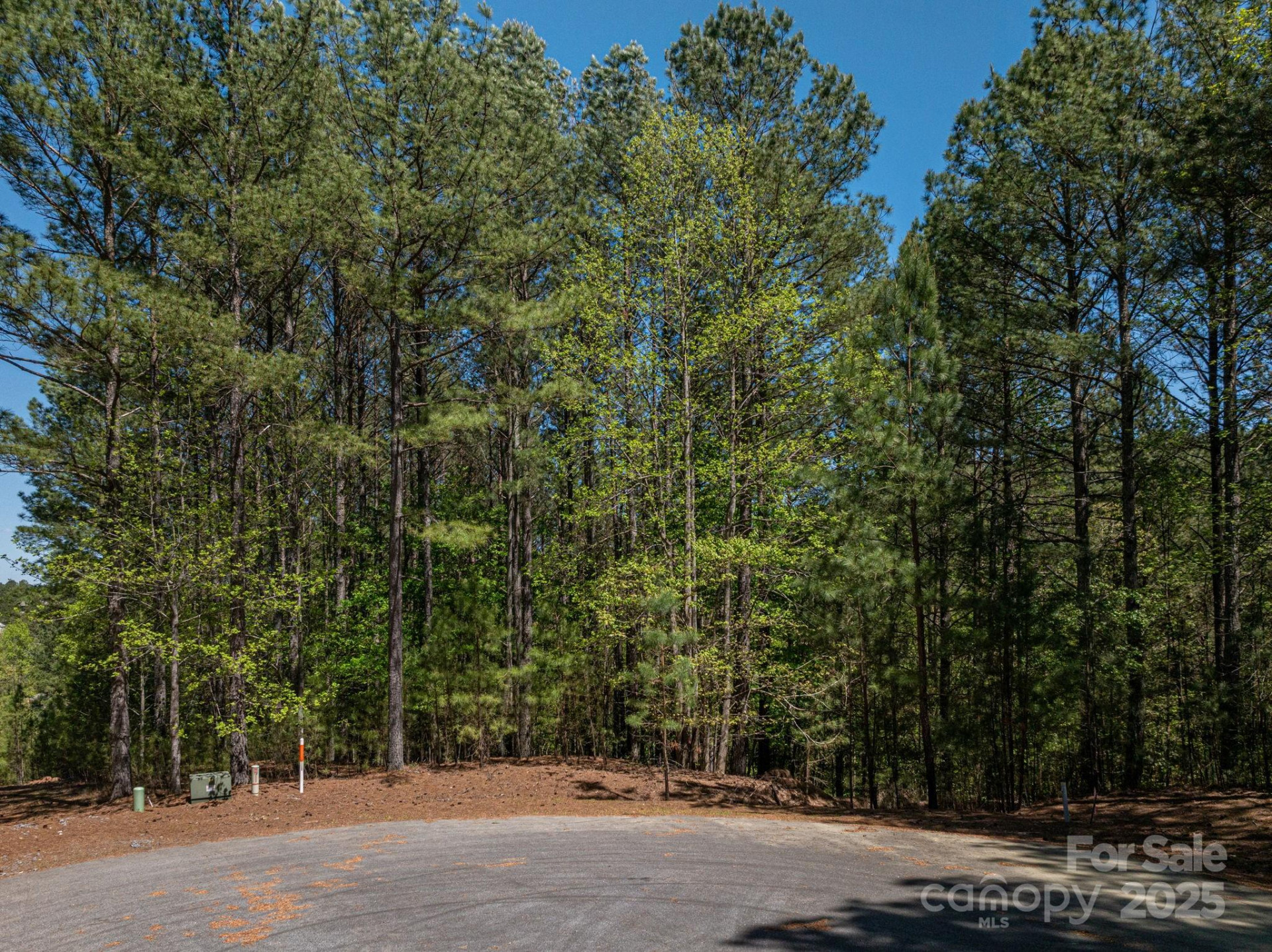 1236 Boardwalk Drive - Photo 21