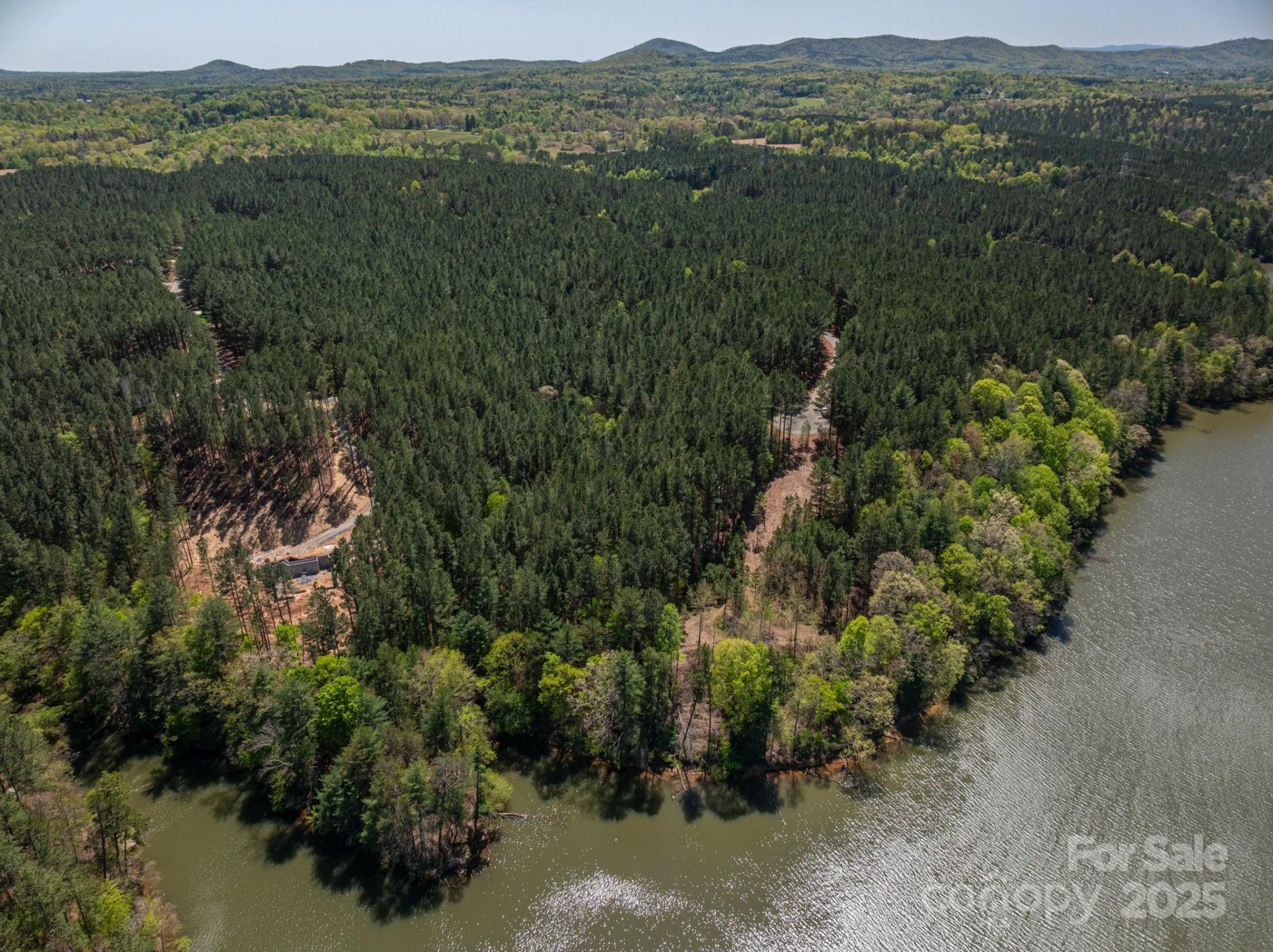 1236 Boardwalk Drive - Photo 4