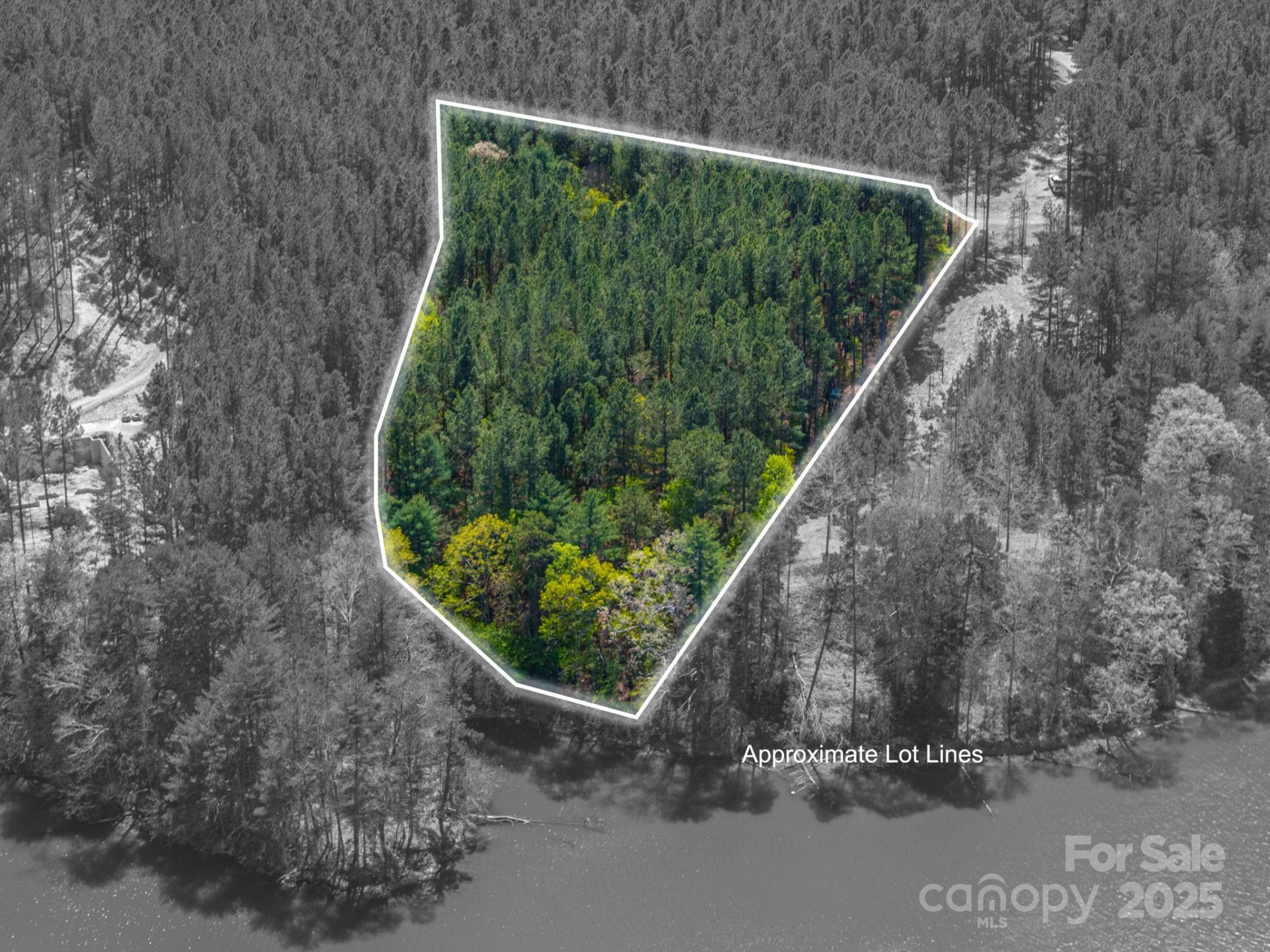 1236 Boardwalk Drive - Photo 5