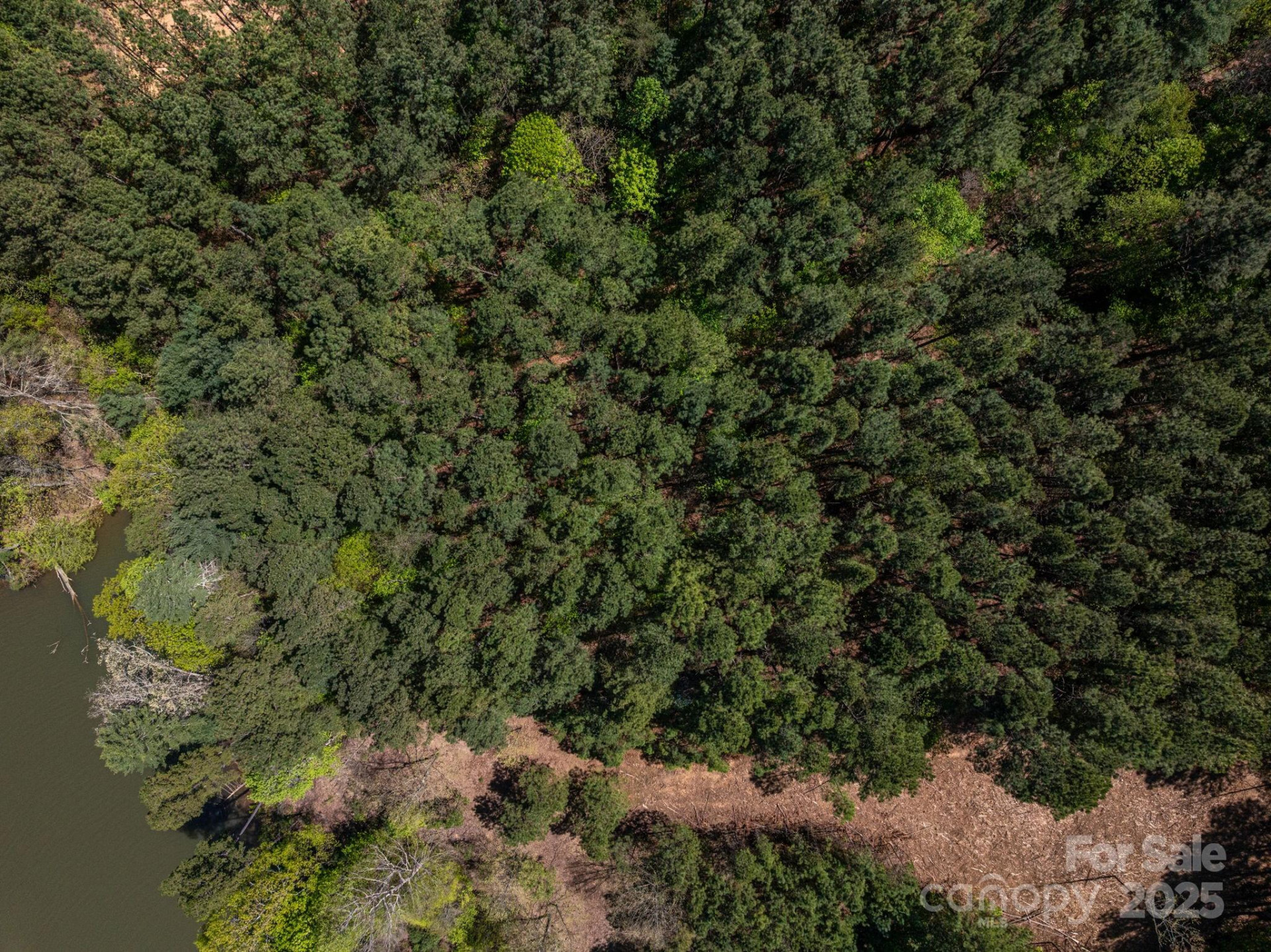 1236 Boardwalk Drive - Photo 7