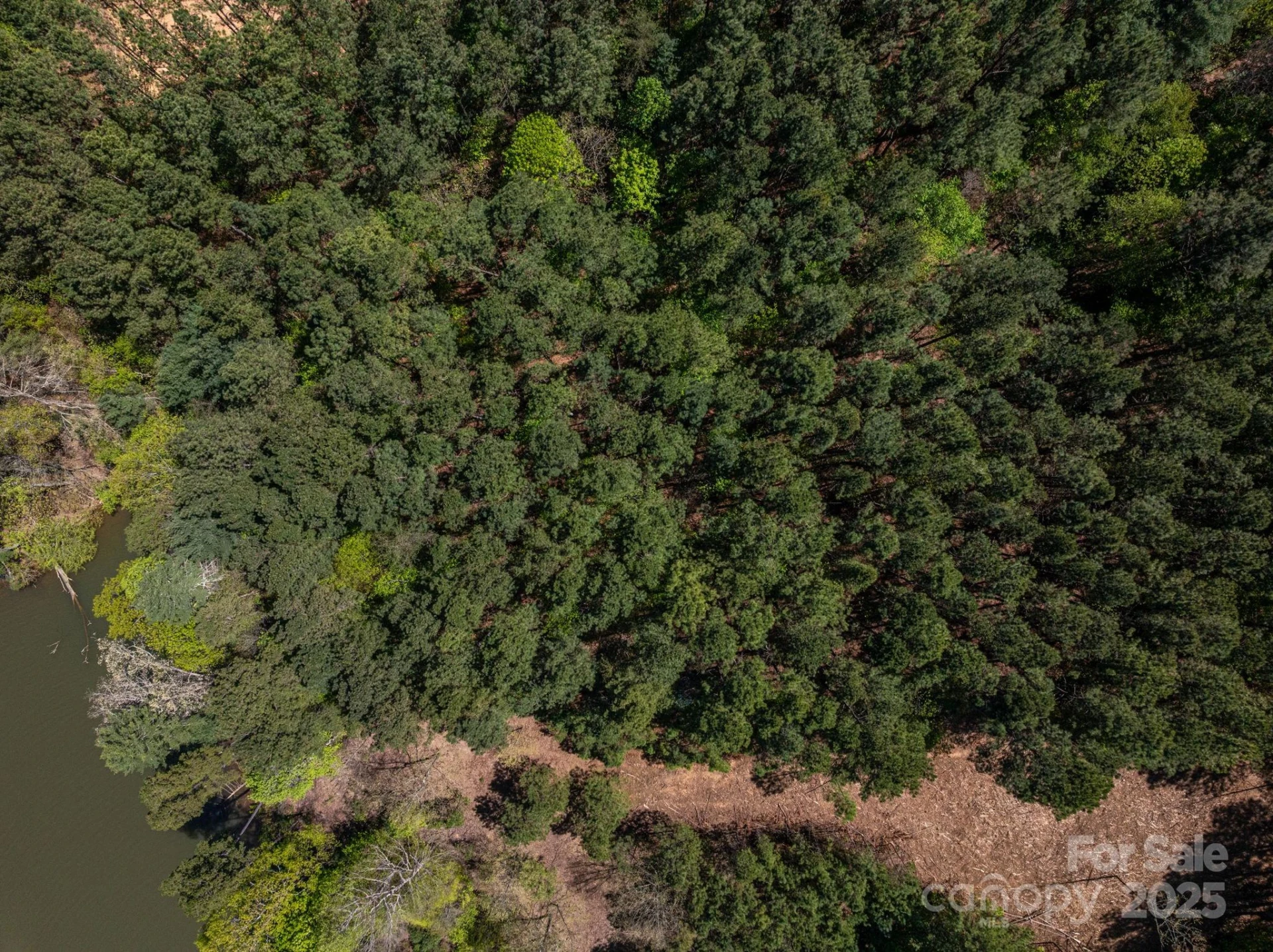 1236 Boardwalk Drive - Photo 7