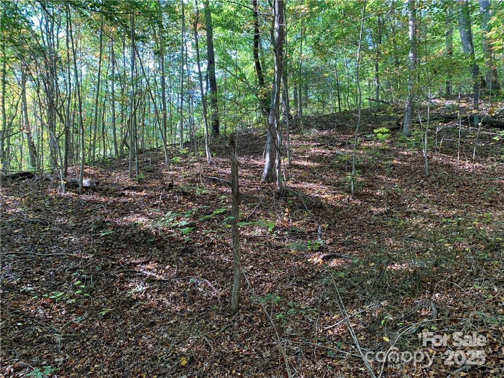 107 Rice Road #9 - Photo 2