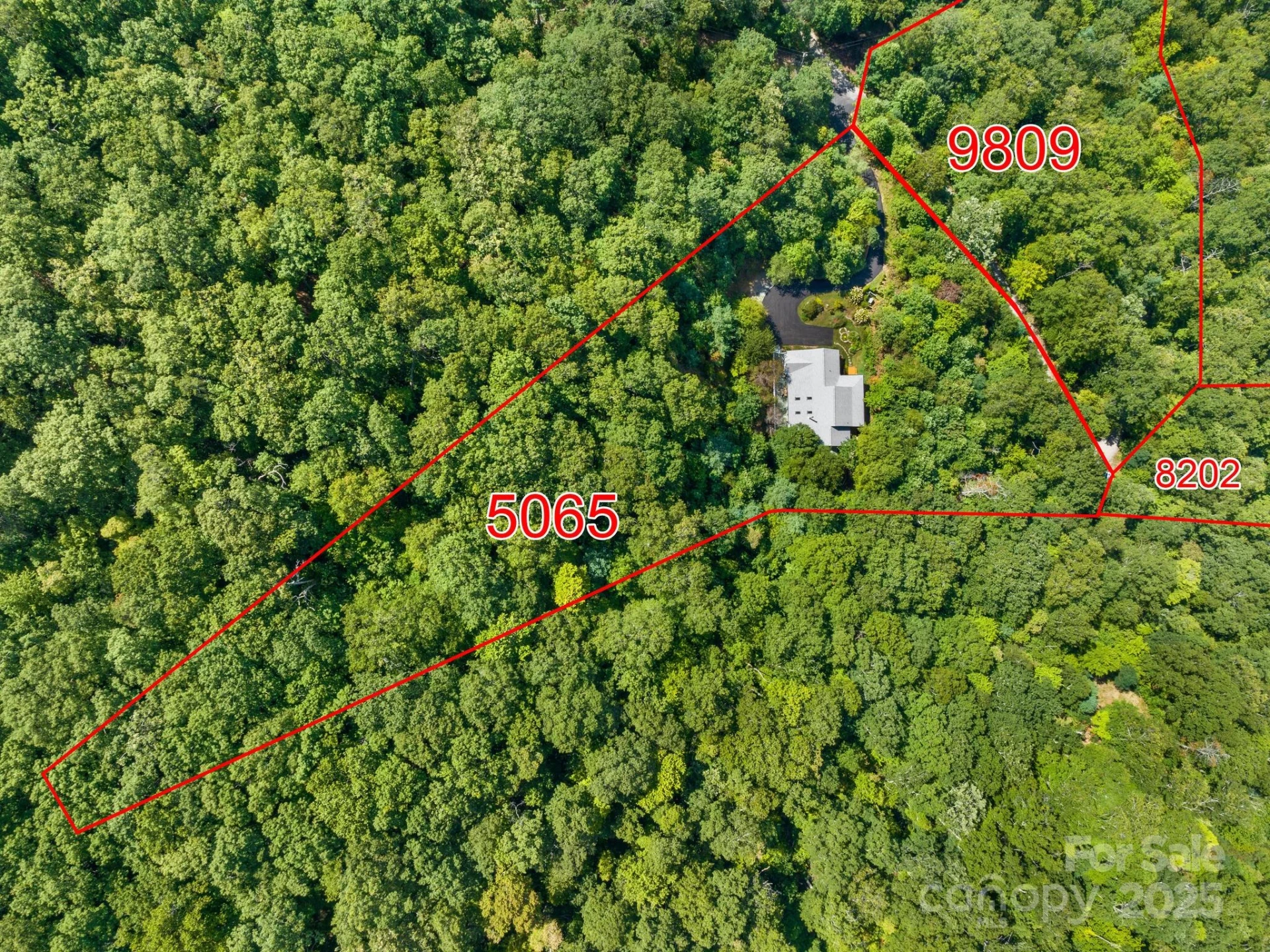 80 Ivy Cove Road - Photo 3