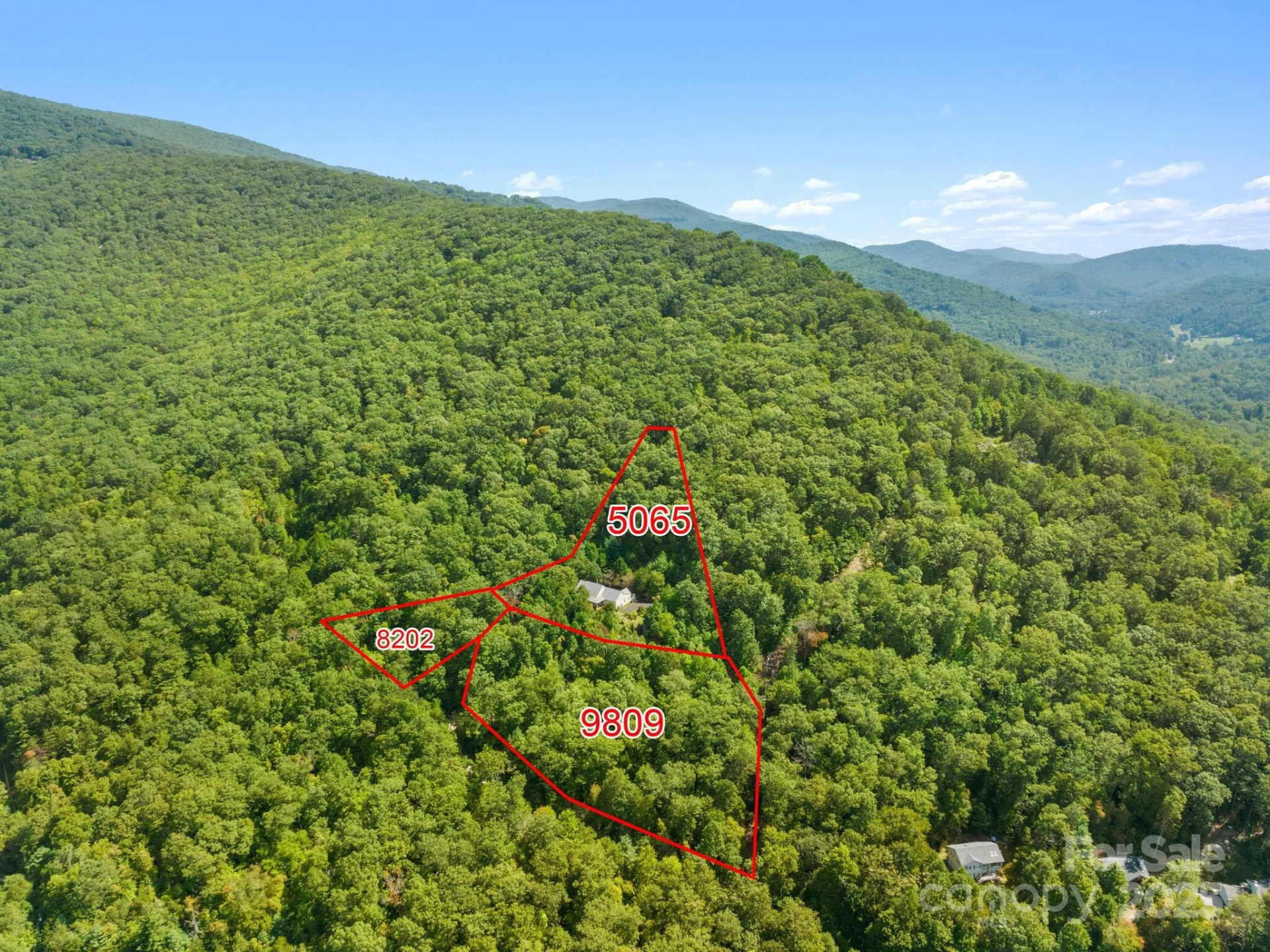 80 Ivy Cove Road - Photo 4