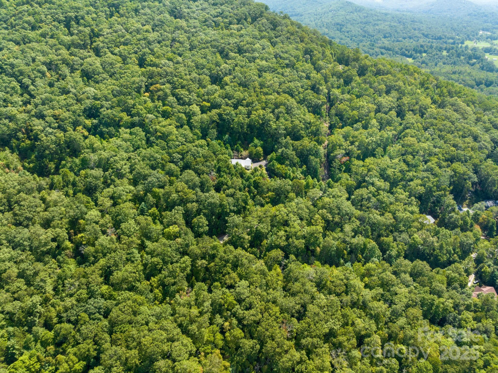 80 Ivy Cove Road - Photo 48
