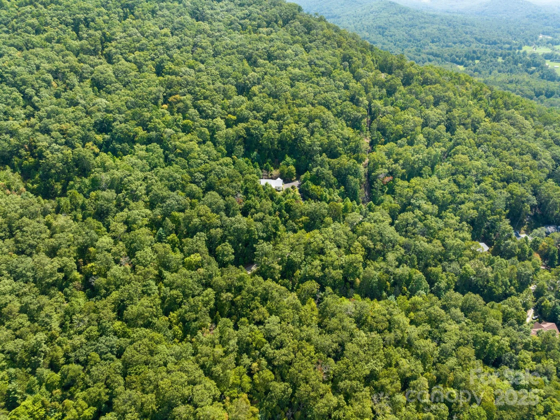 80 Ivy Cove Road - Photo 48