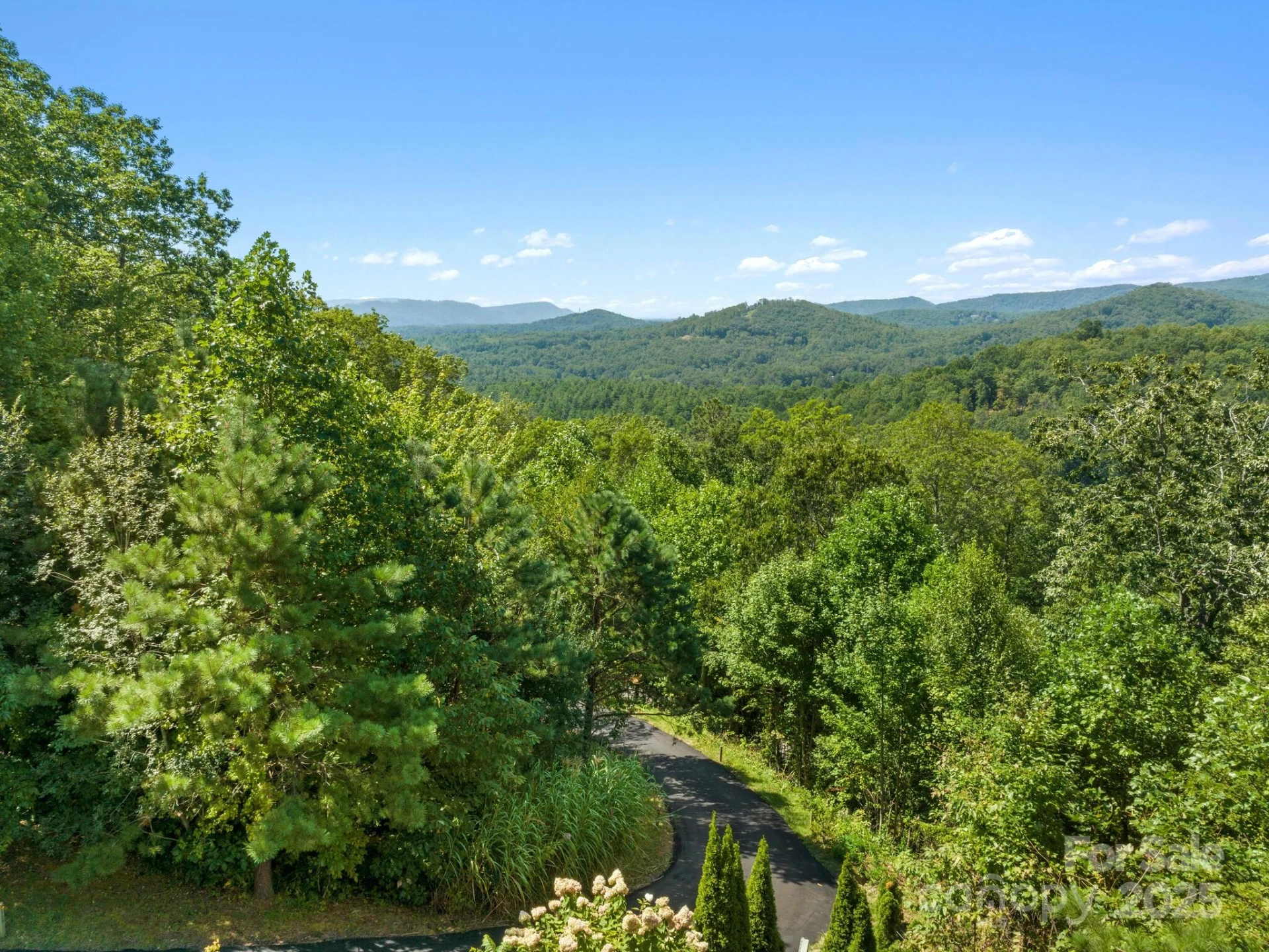 80 Ivy Cove Road - Photo 8