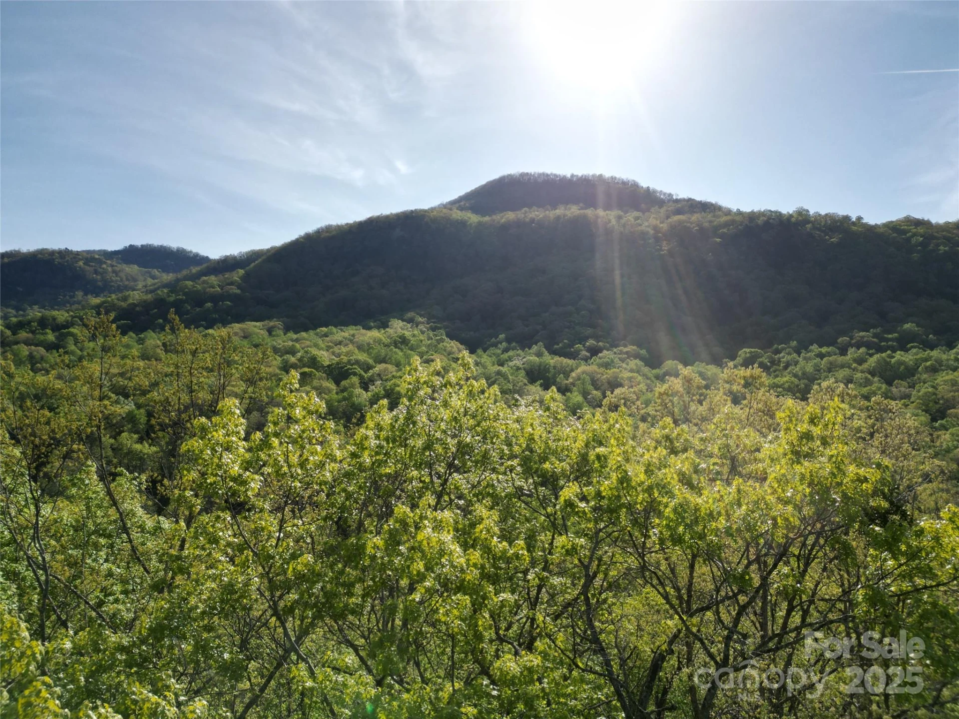 Lot 164 Spanarkel Lane - Photo 2