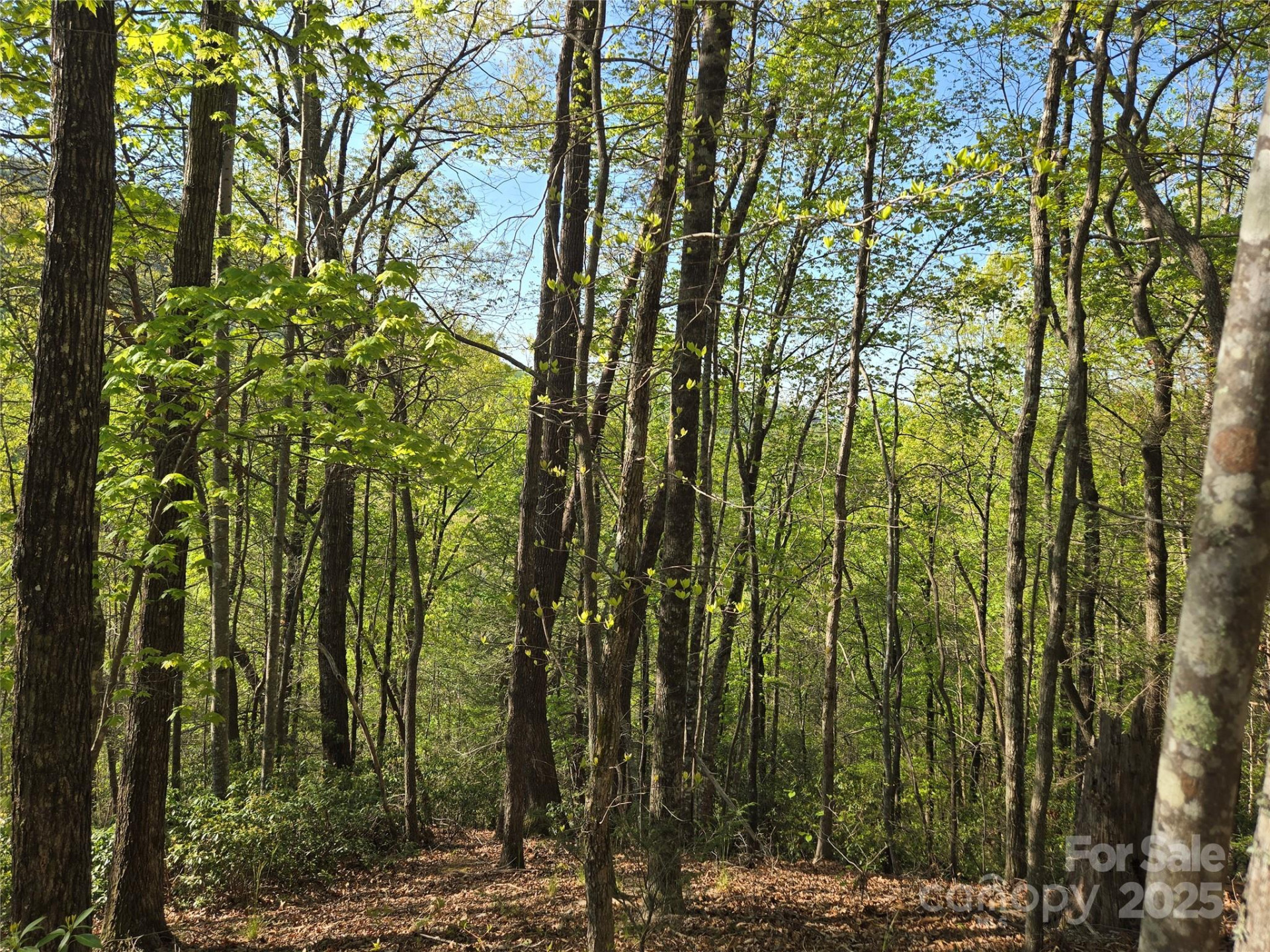 Lot 164 Spanarkel Lane - Photo 11