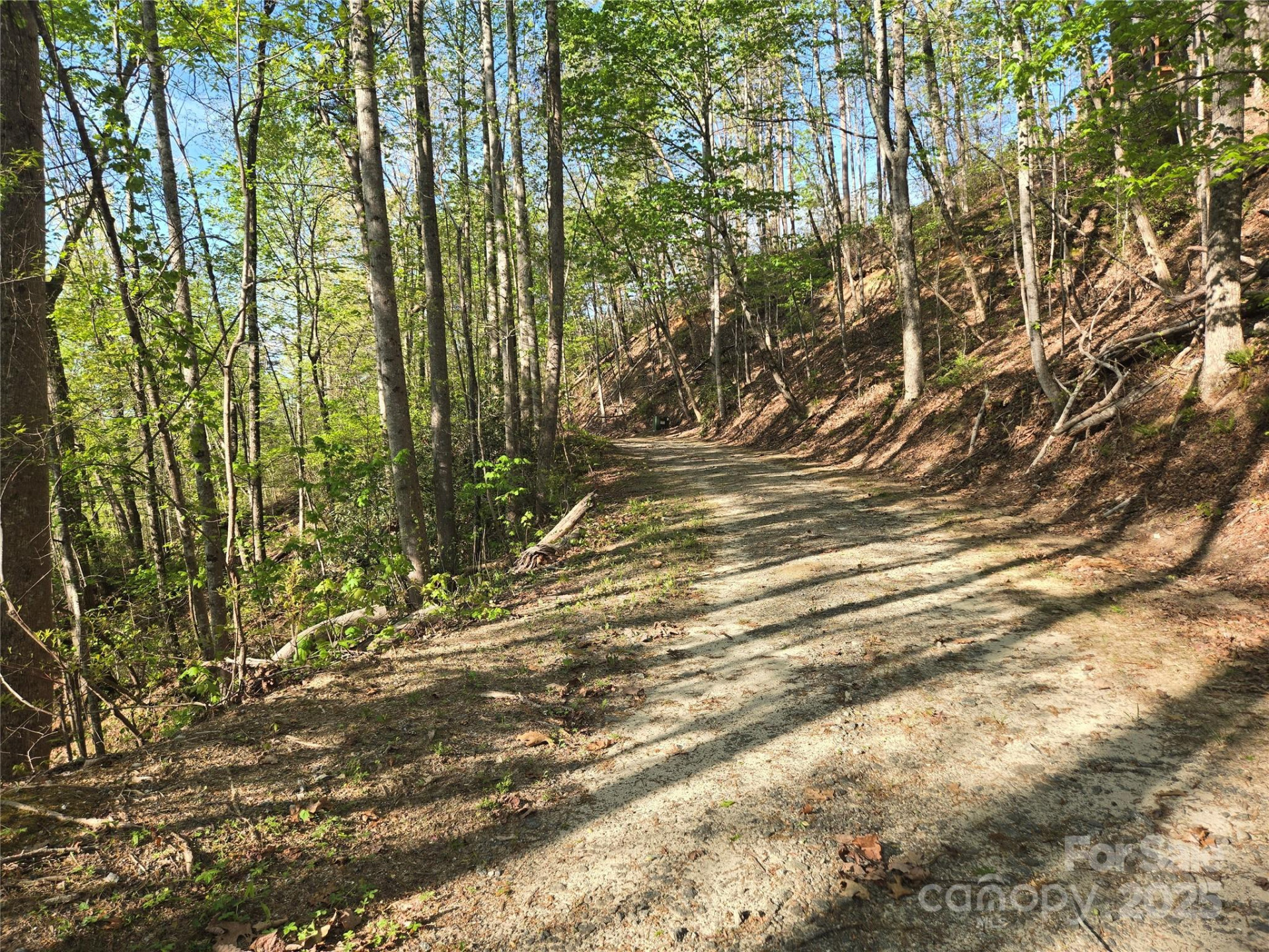 Lot 164 Spanarkel Lane - Photo 12