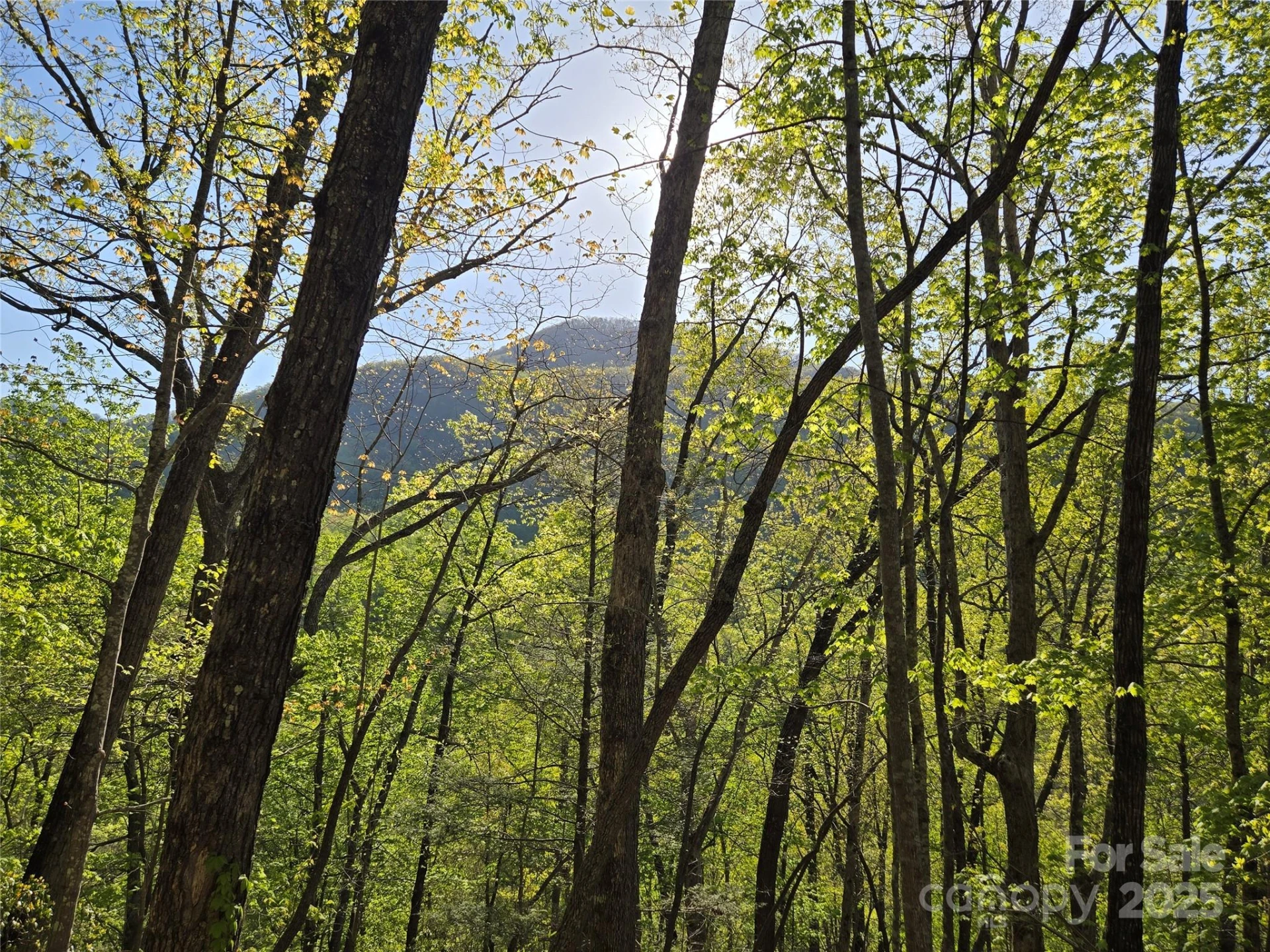 Lot 164 Spanarkel Lane - Photo 3
