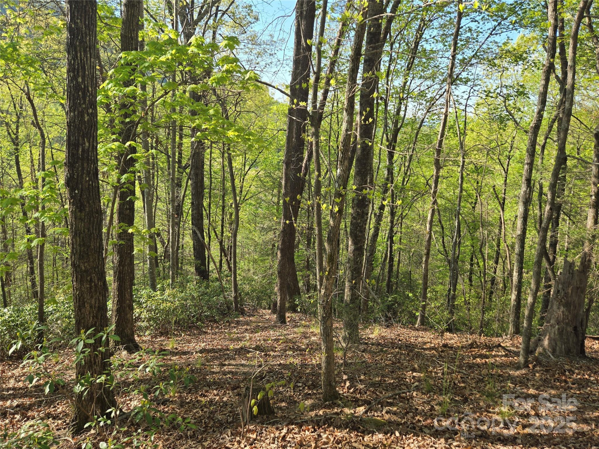 Lot 164 Spanarkel Lane - Photo 4