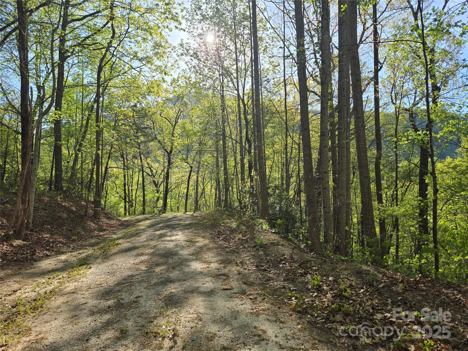 Lot 164 Spanarkel Lane - Photo 5