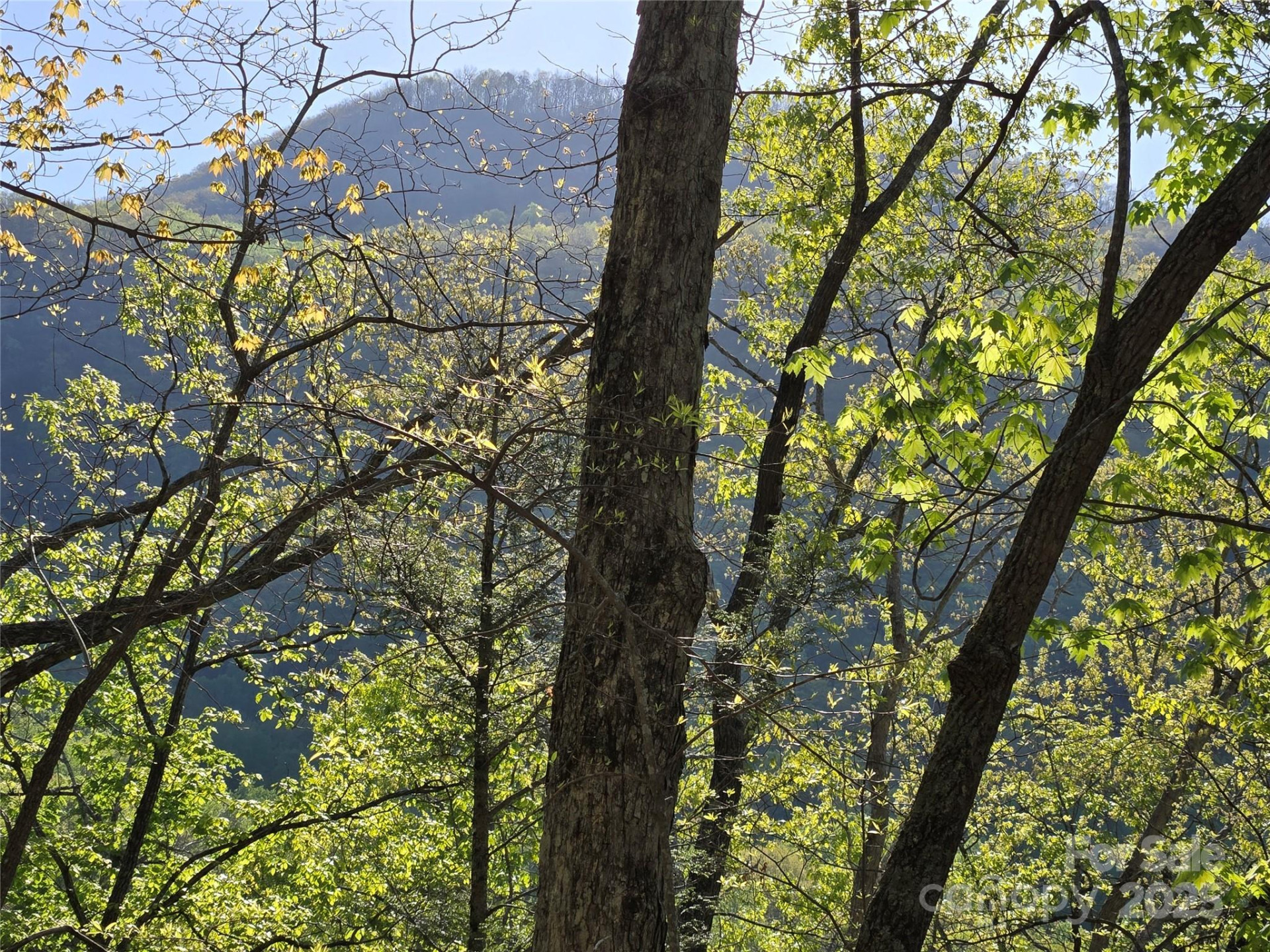 Lot 164 Spanarkel Lane - Photo 6